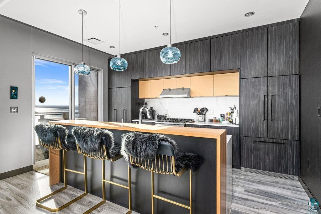 311 E Superior St, #905, Duluth, MN 55802 Listing Photo  29