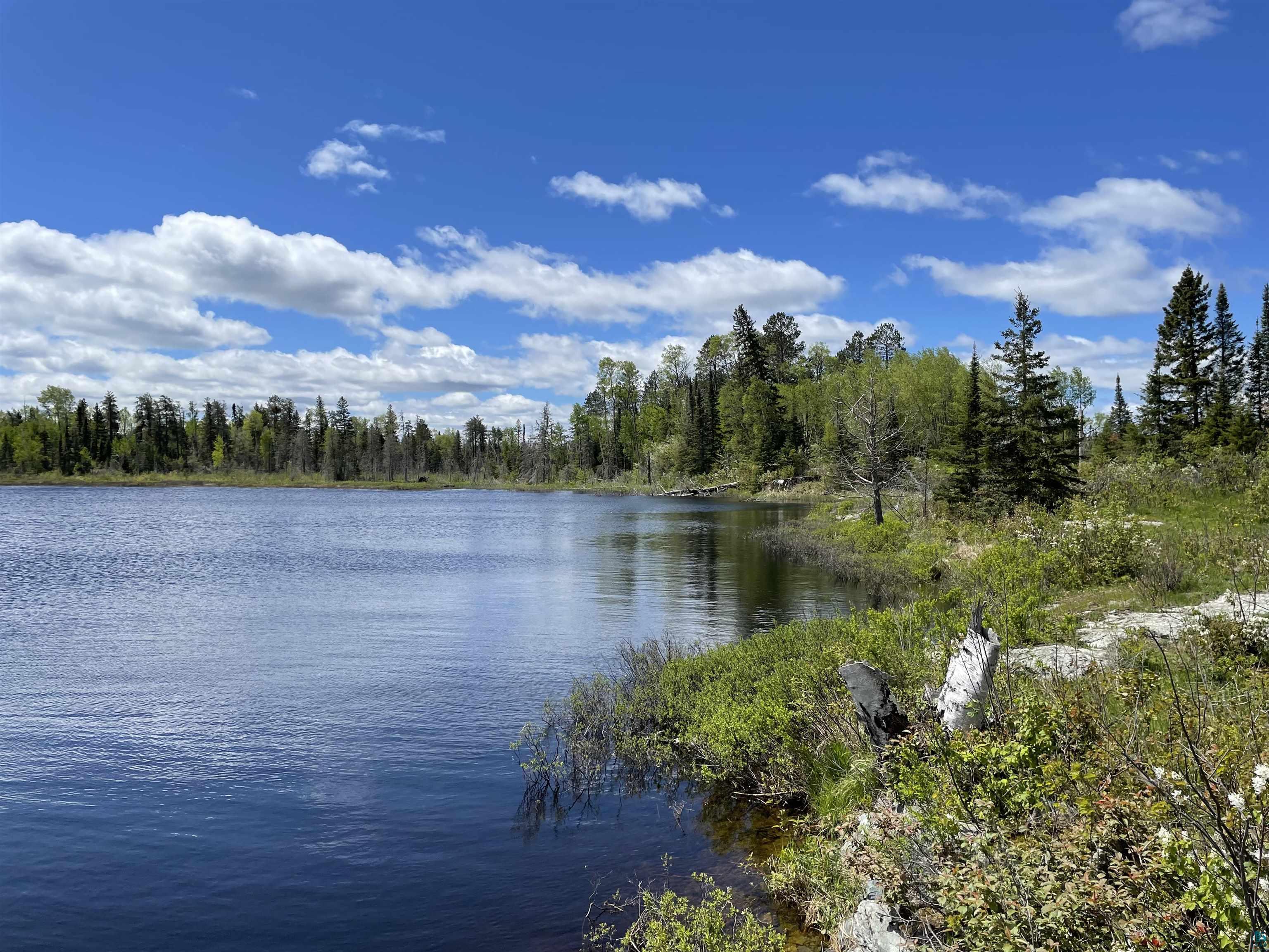 XXXX Murray Forest Rd, Ely, MN 55731 Listing Photo  1