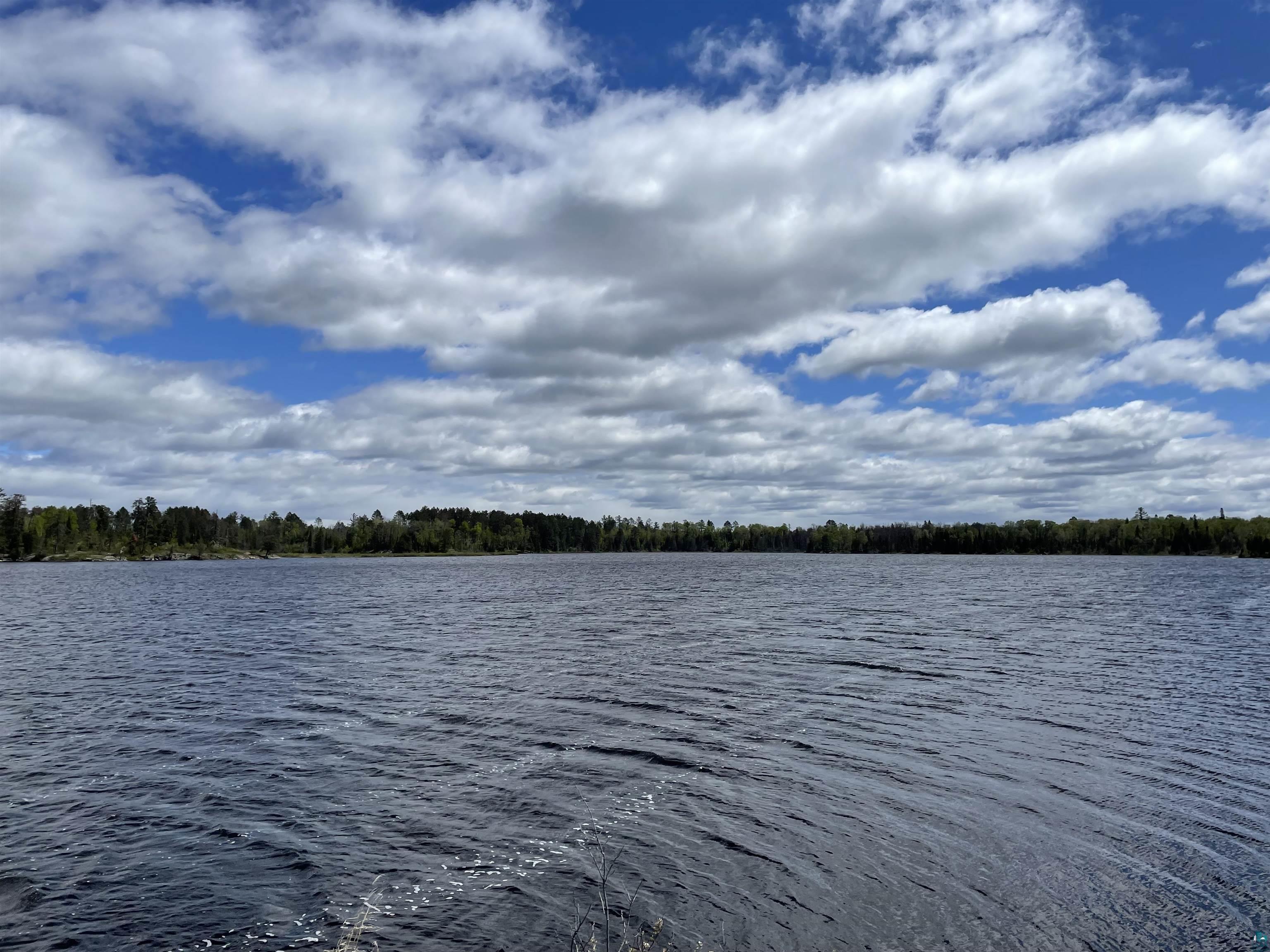 XXXX Murray Forest Rd, Ely, MN 55731 Listing Photo  2