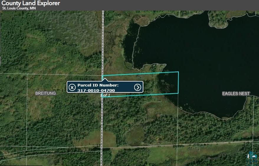 XXXX Murray Forest Rd, Ely, MN 55731 Listing Photo  5