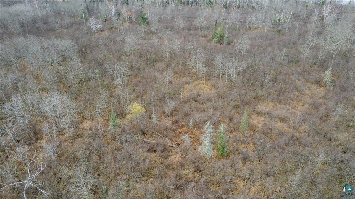 8303 Camp Amnicon Rd, South Range, WI 54874 Listing Photo  3