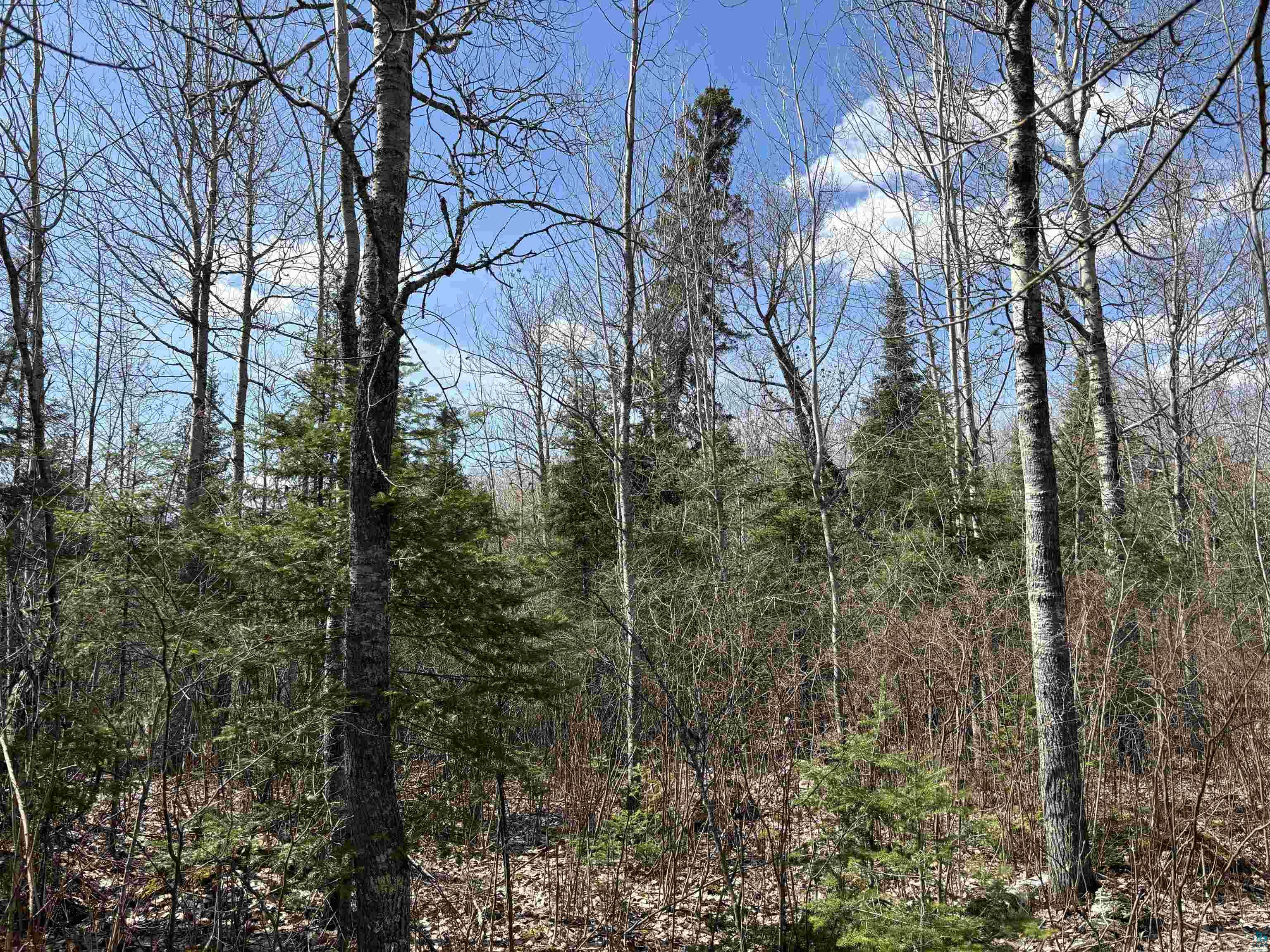 Unit 1 Fernberg Rd, Ely, MN 55731 Listing Photo  13