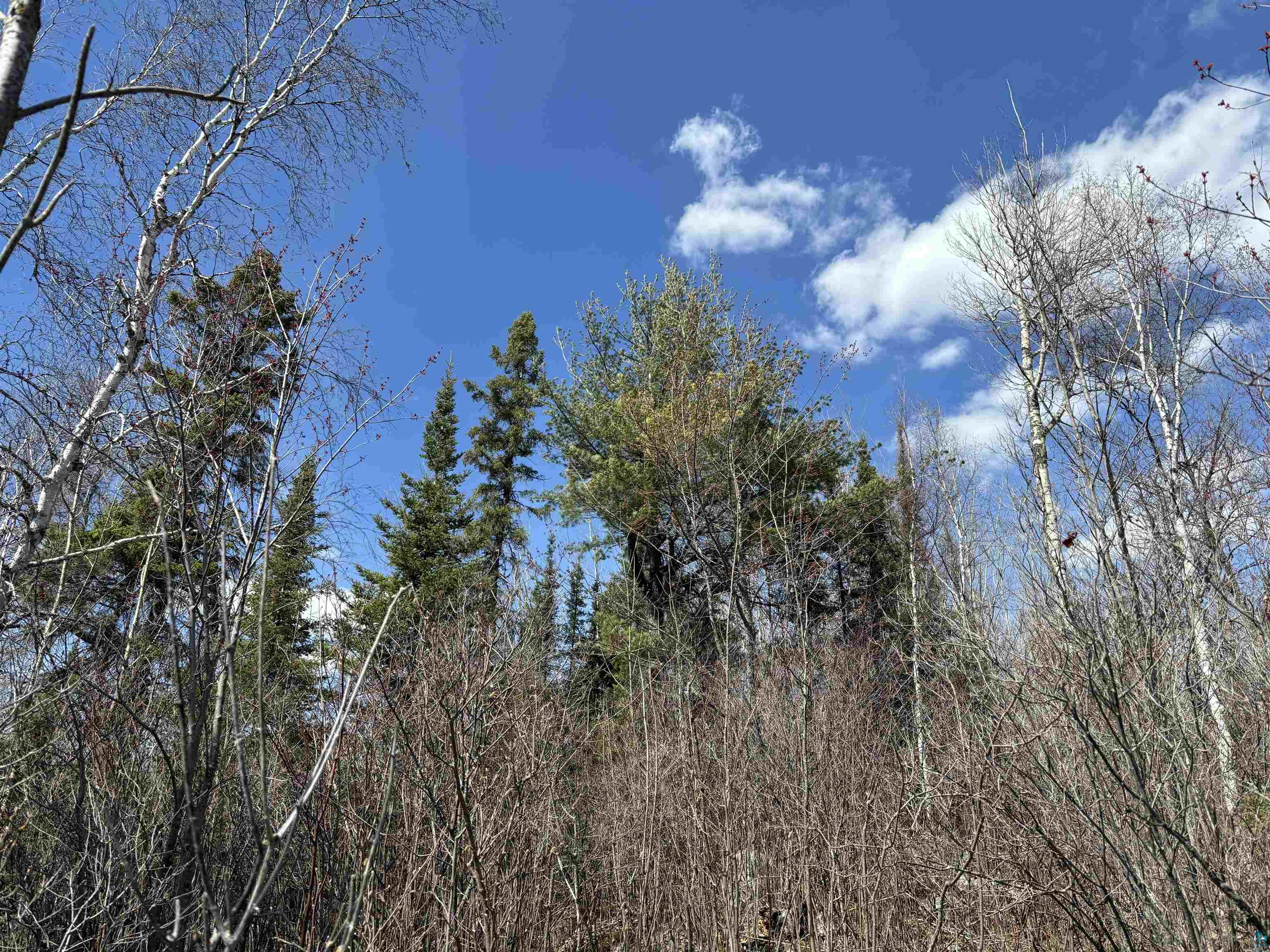 Unit 1 Fernberg Rd, Ely, MN 55731 Listing Photo  14