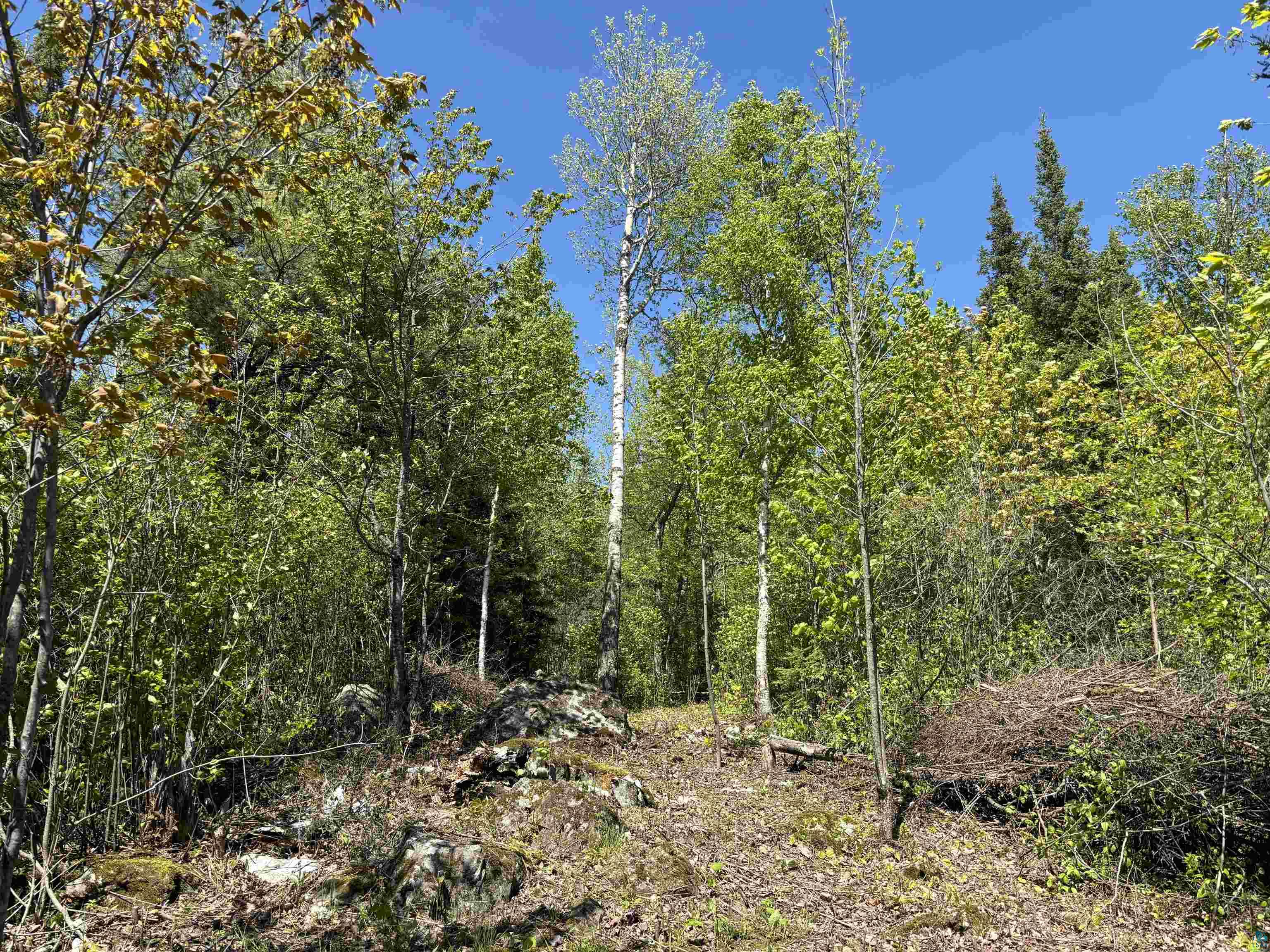 Unit 1 Fernberg Rd, Ely, MN 55731 Listing Photo  4