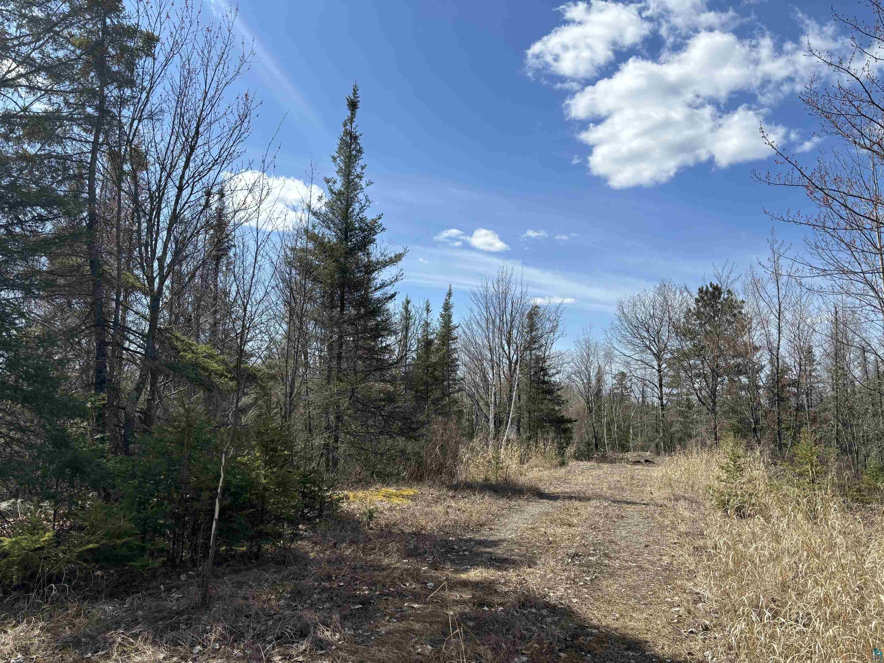 Unit 1 Fernberg Rd, Ely, MN 55731 Listing Photo  10