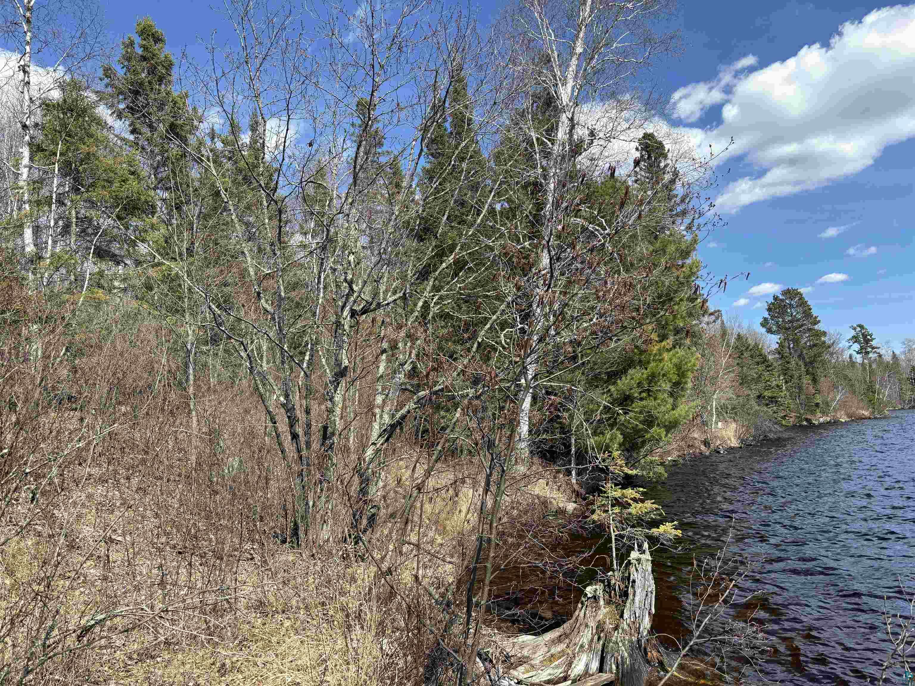 Unit 2 Fernberg Rd, Ely, MN 55731 Listing Photo  11
