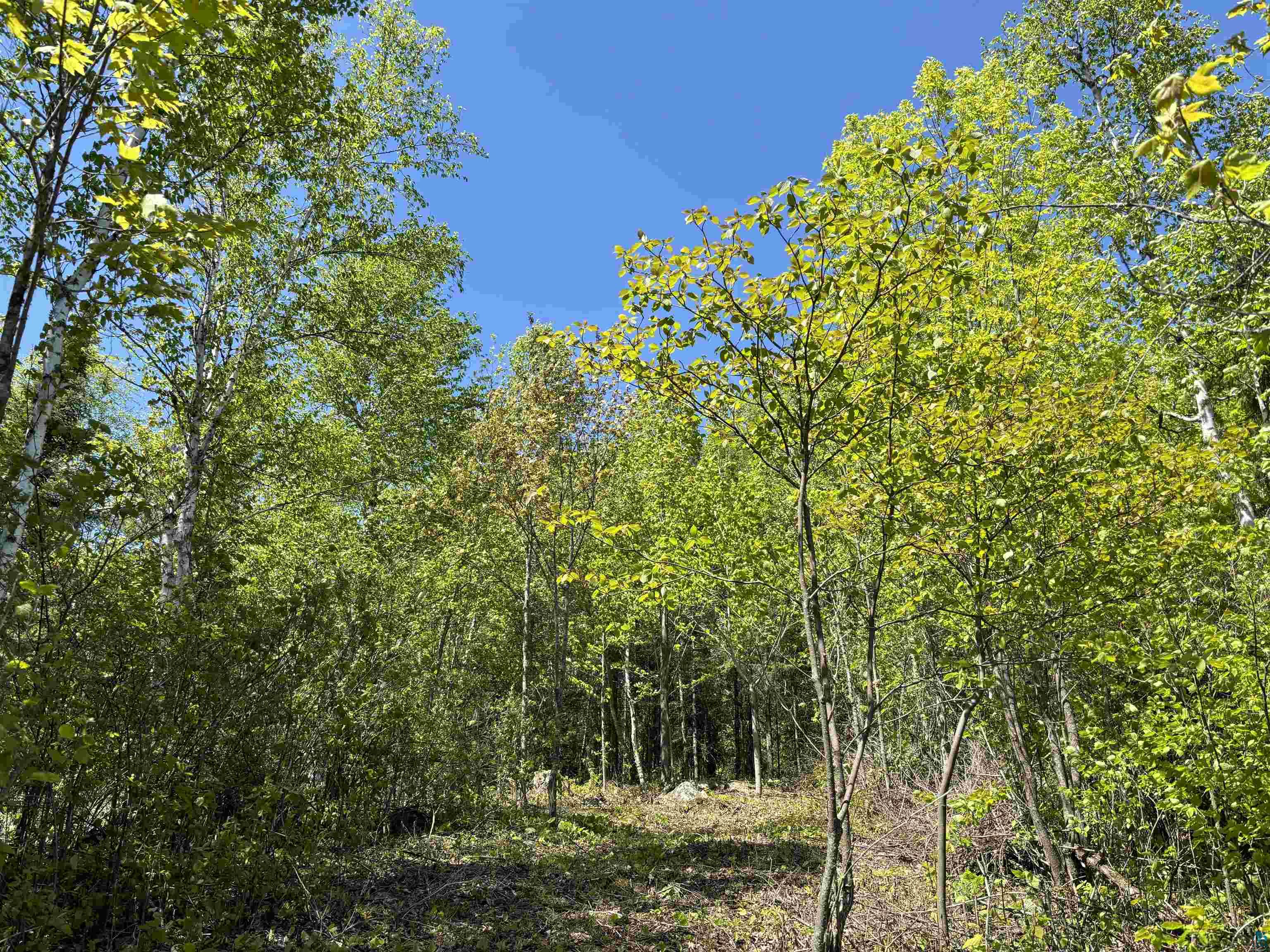 Unit 2 Fernberg Rd, Ely, MN 55731 Listing Photo  4