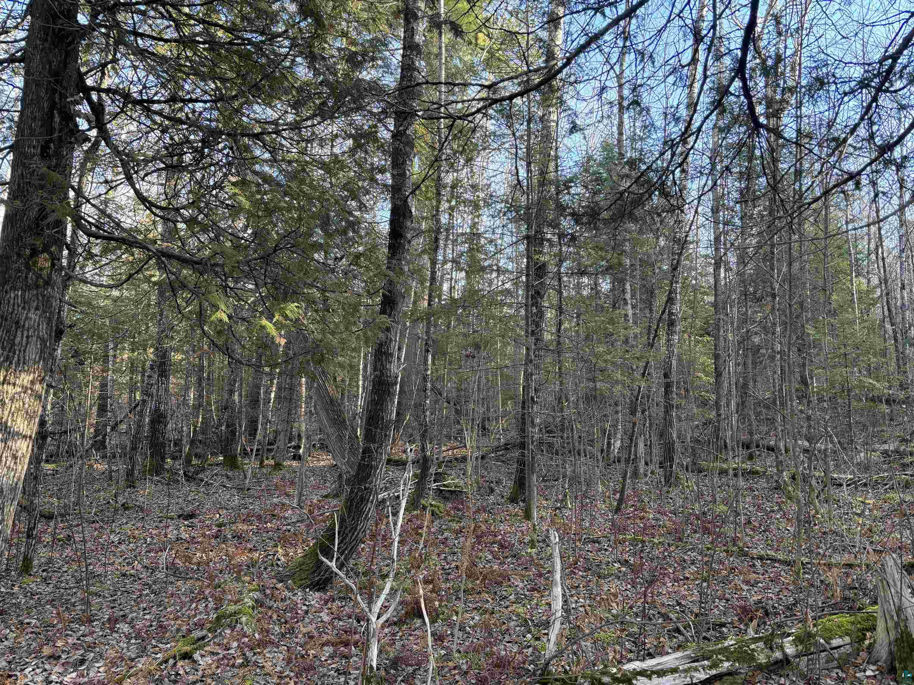 XXX9 Powerhouse Trail, Ely, MN 55731 Listing Photo  11