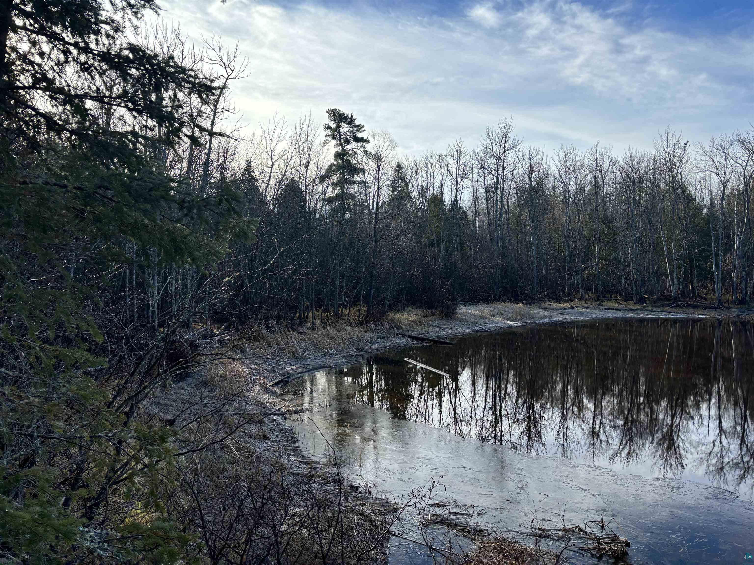 XXX9 Powerhouse Trail, Ely, MN 55731 Listing Photo  5