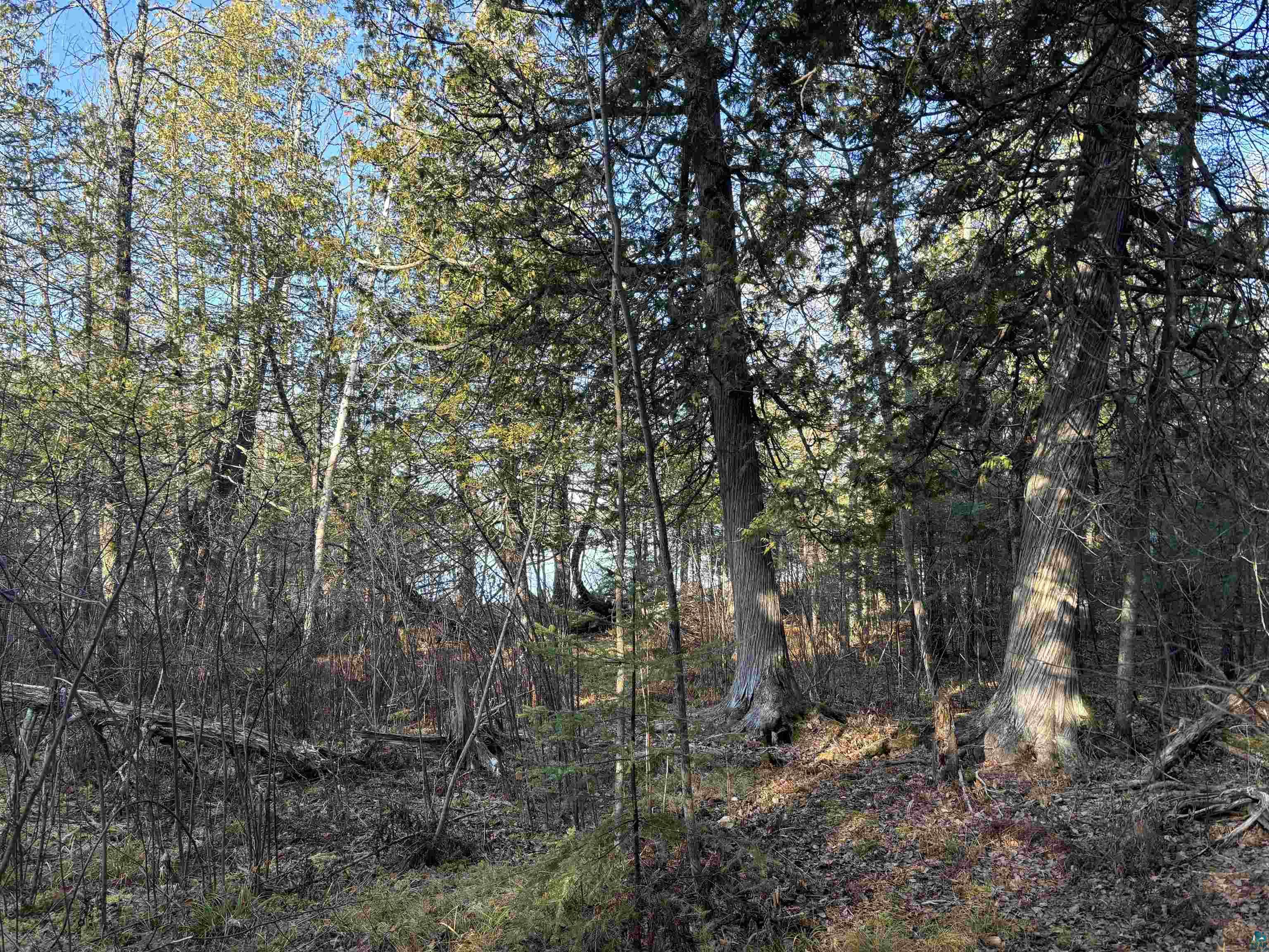 XXX9 Powerhouse Trail, Ely, MN 55731 Listing Photo  7
