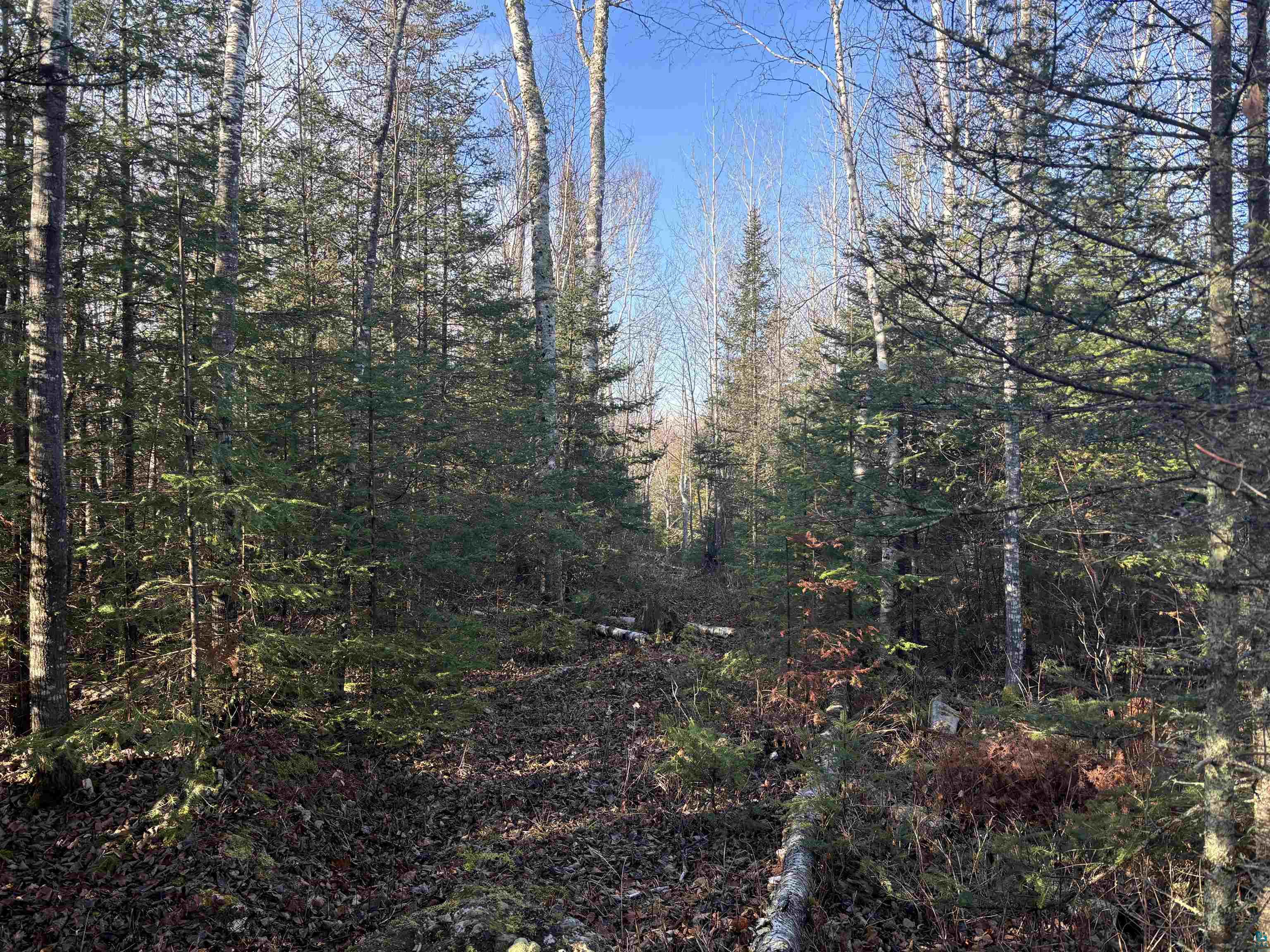 XXX9 Powerhouse Trail, Ely, MN 55731 Listing Photo  8
