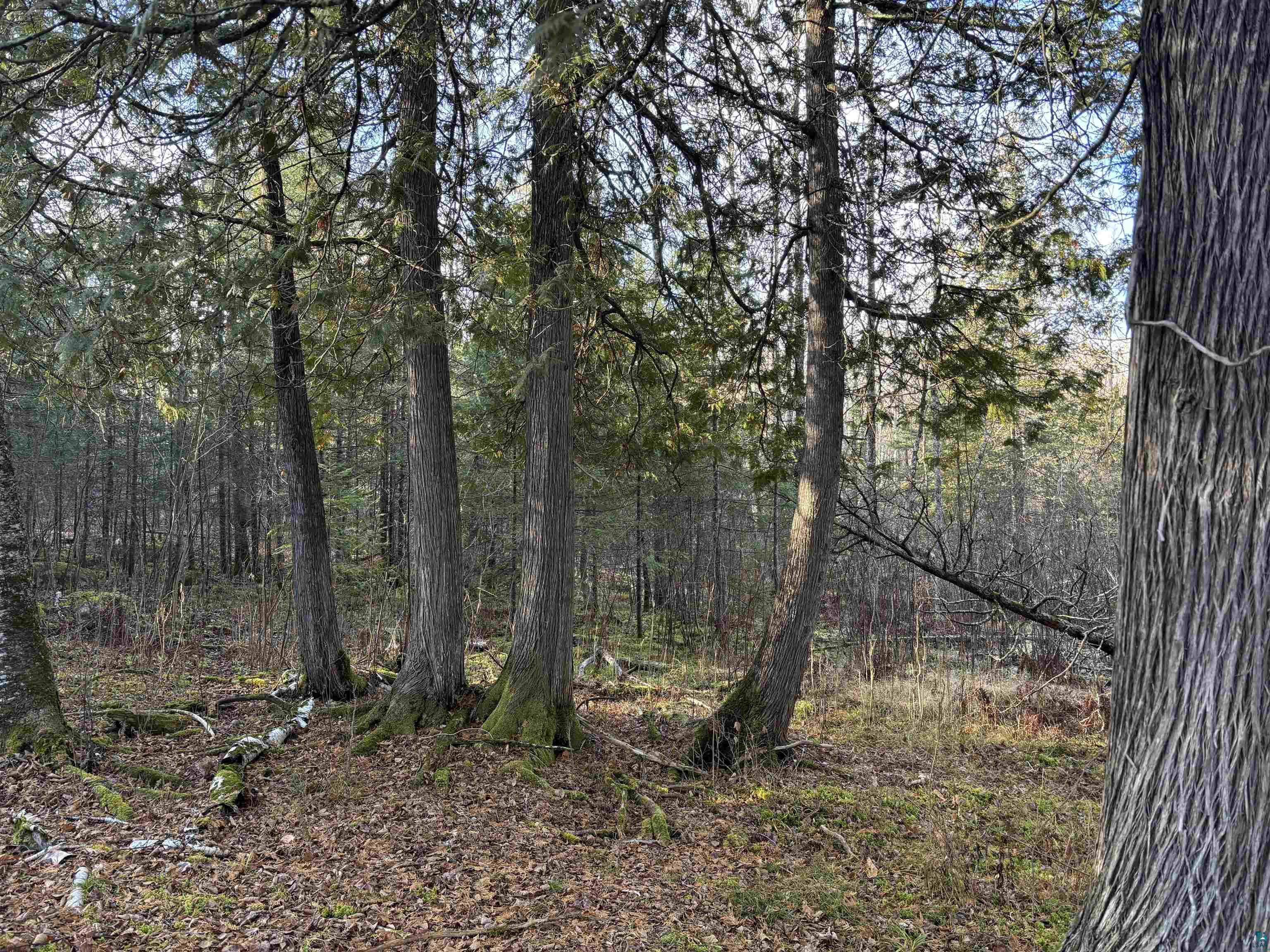 XXX9 Powerhouse Trail, Ely, MN 55731 Listing Photo  9