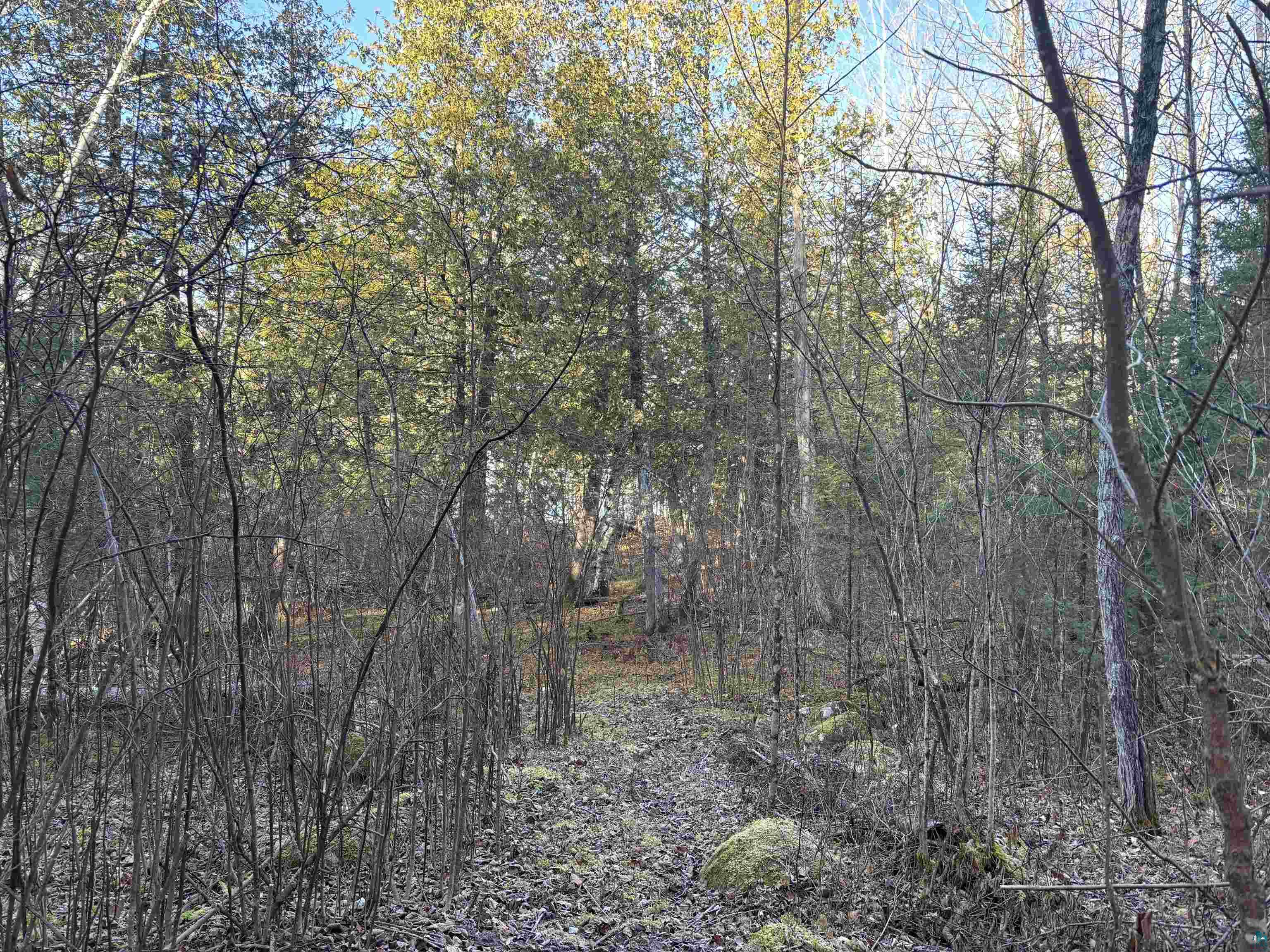 XXX9 Powerhouse Trail, Ely, MN 55731 Listing Photo  10