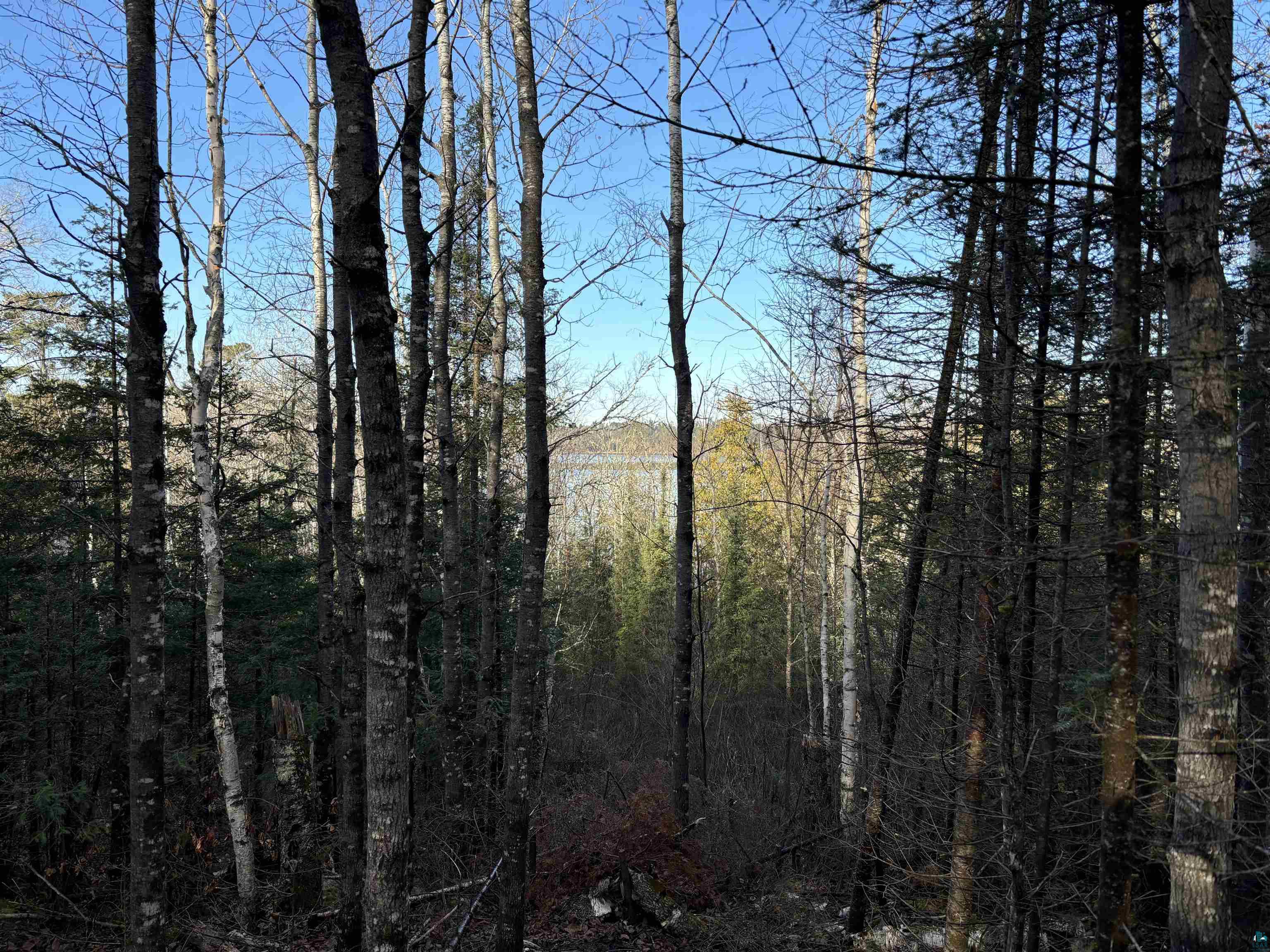 XXX10 Powerhouse Trail, Ely, MN 55731 Listing Photo  4