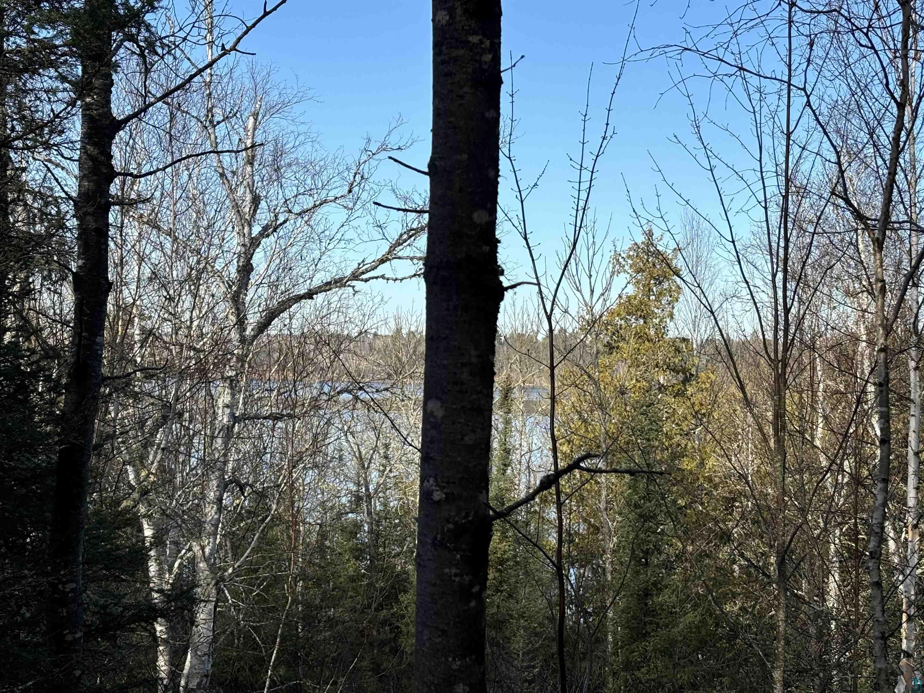 XXX10 Powerhouse Trail, Ely, MN 55731 Listing Photo  5