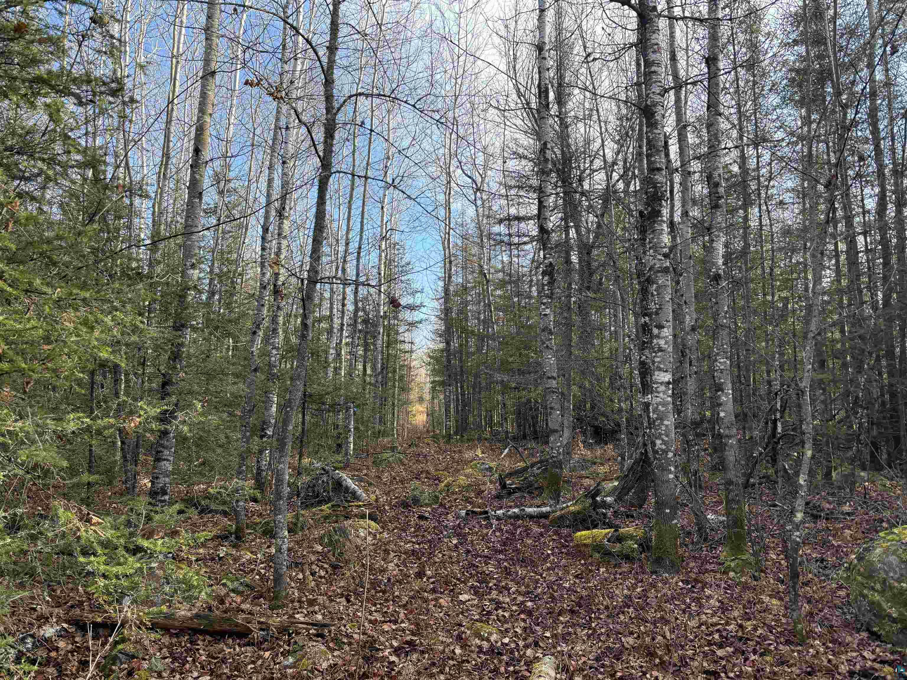 XXX10 Powerhouse Trail, Ely, MN 55731 Listing Photo  6