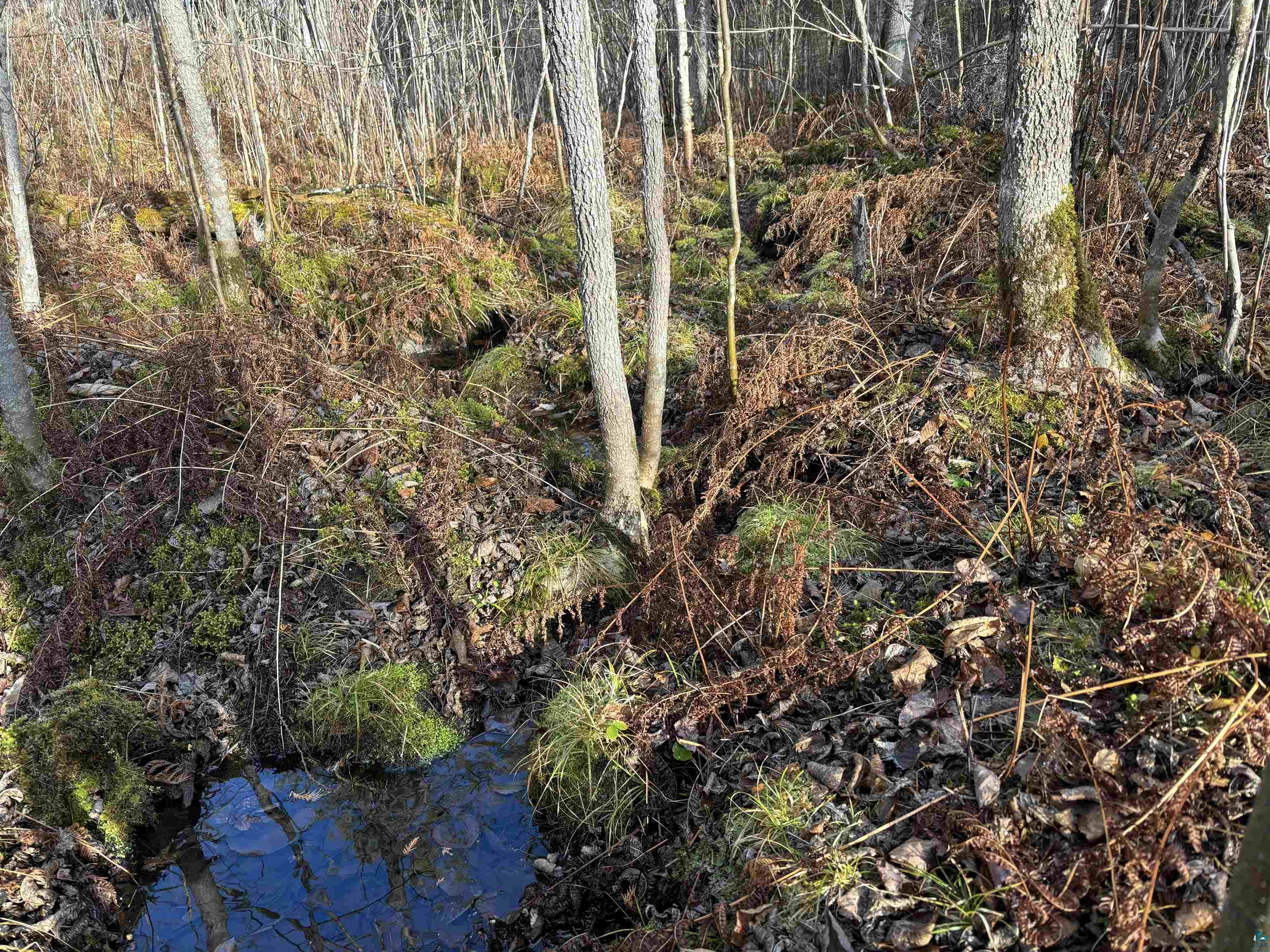 XXX10 Powerhouse Trail, Ely, MN 55731 Listing Photo  7