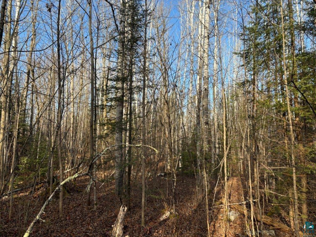 XXX10 Powerhouse Trail, Ely, MN 55731 Listing Photo  8