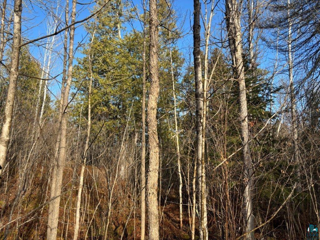 XXX10 Powerhouse Trail, Ely, MN 55731 Listing Photo  9