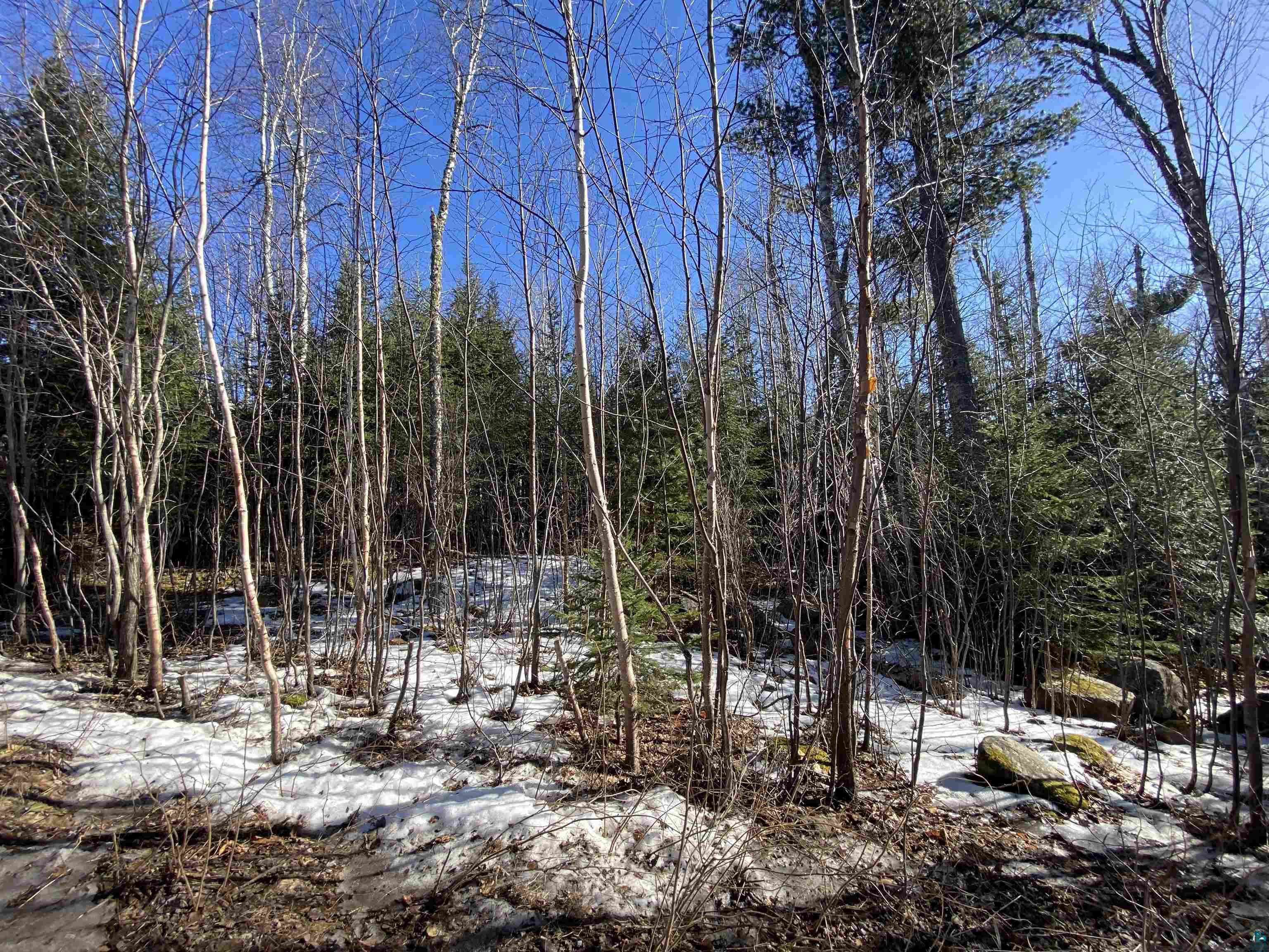 XXD Pine Peak Rd, Lutsen, MN 55612 Listing Photo  1