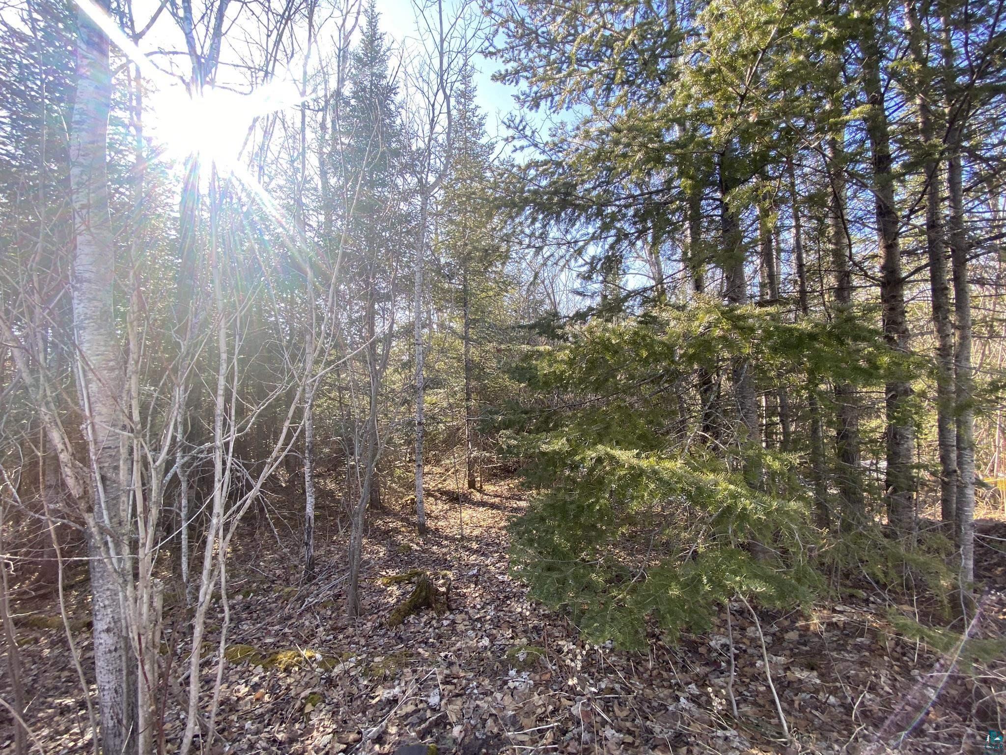 XXD Pine Peak Rd, Lutsen, MN 55612 Listing Photo  2