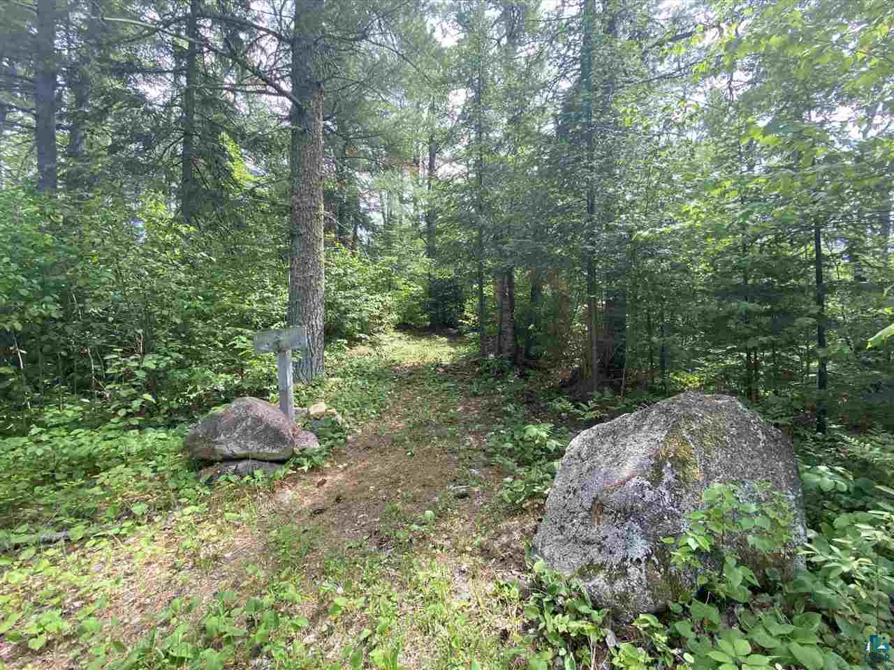 XXD Pine Peak Rd, Lutsen, MN 55612 Listing Photo  11