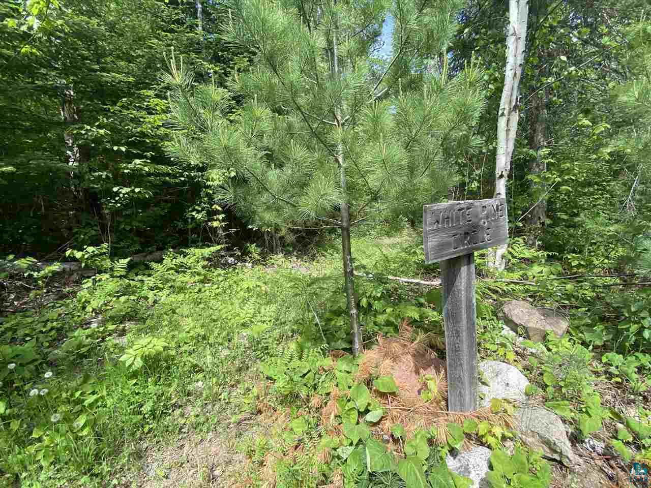 XXD Pine Peak Rd, Lutsen, MN 55612 Listing Photo  12