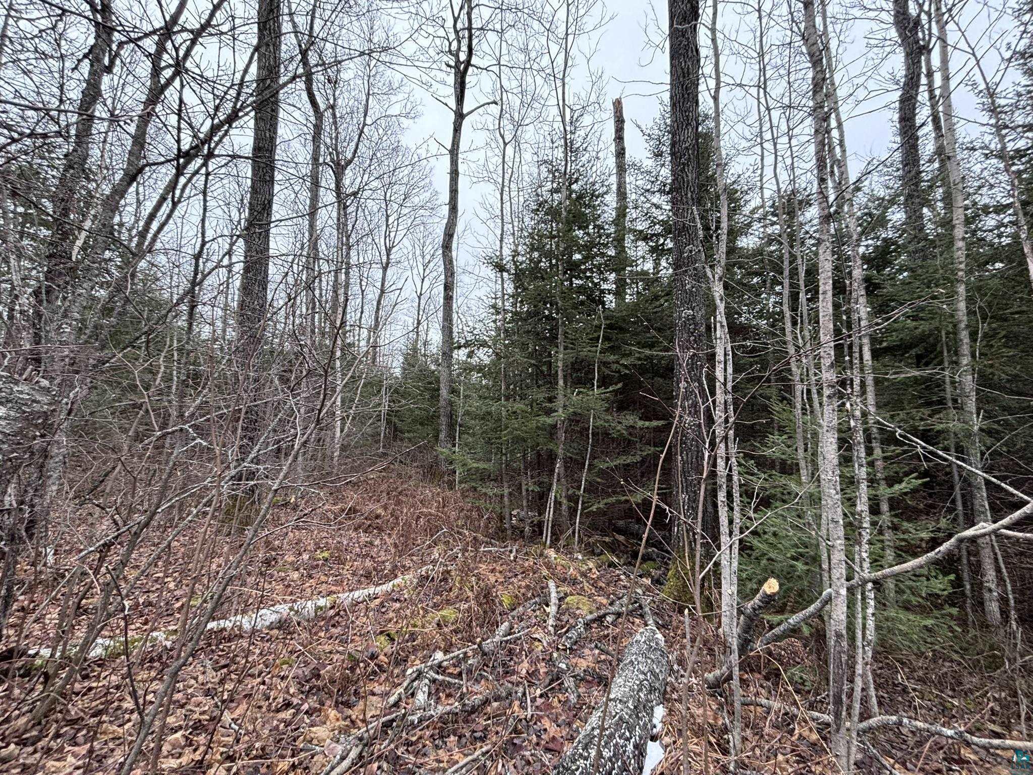 XXD Pine Peak Rd, Lutsen, MN 55612 Listing Photo  14