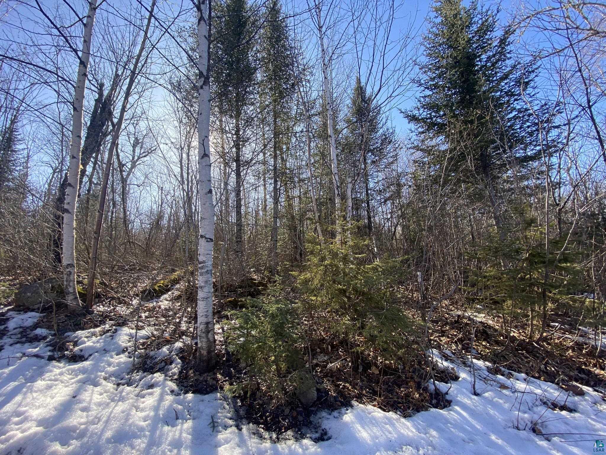 XXD Pine Peak Rd, Lutsen, MN 55612 Listing Photo  15
