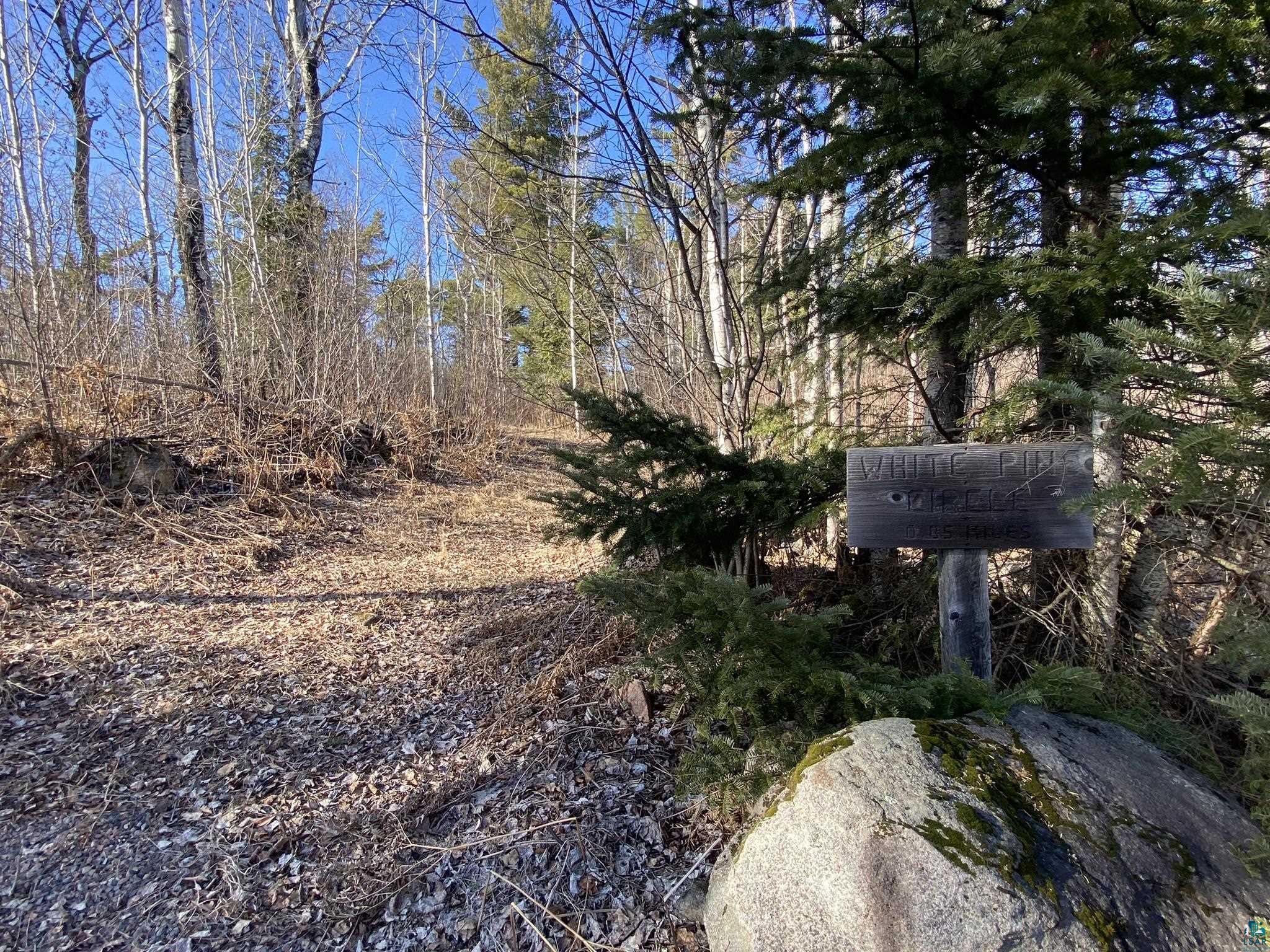 XXD Pine Peak Rd, Lutsen, MN 55612 Listing Photo  16