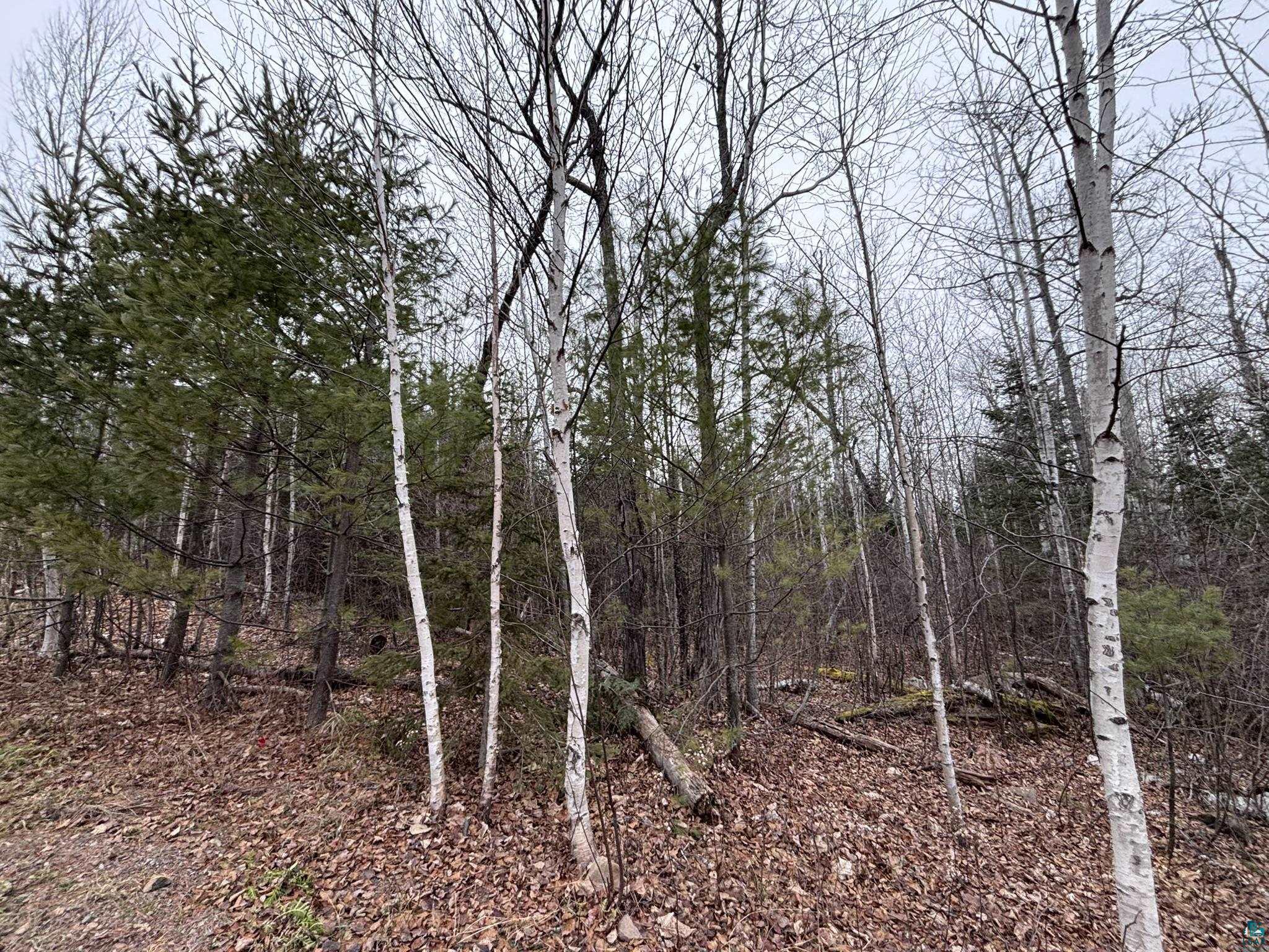XXD Pine Peak Rd, Lutsen, MN 55612 Listing Photo  17