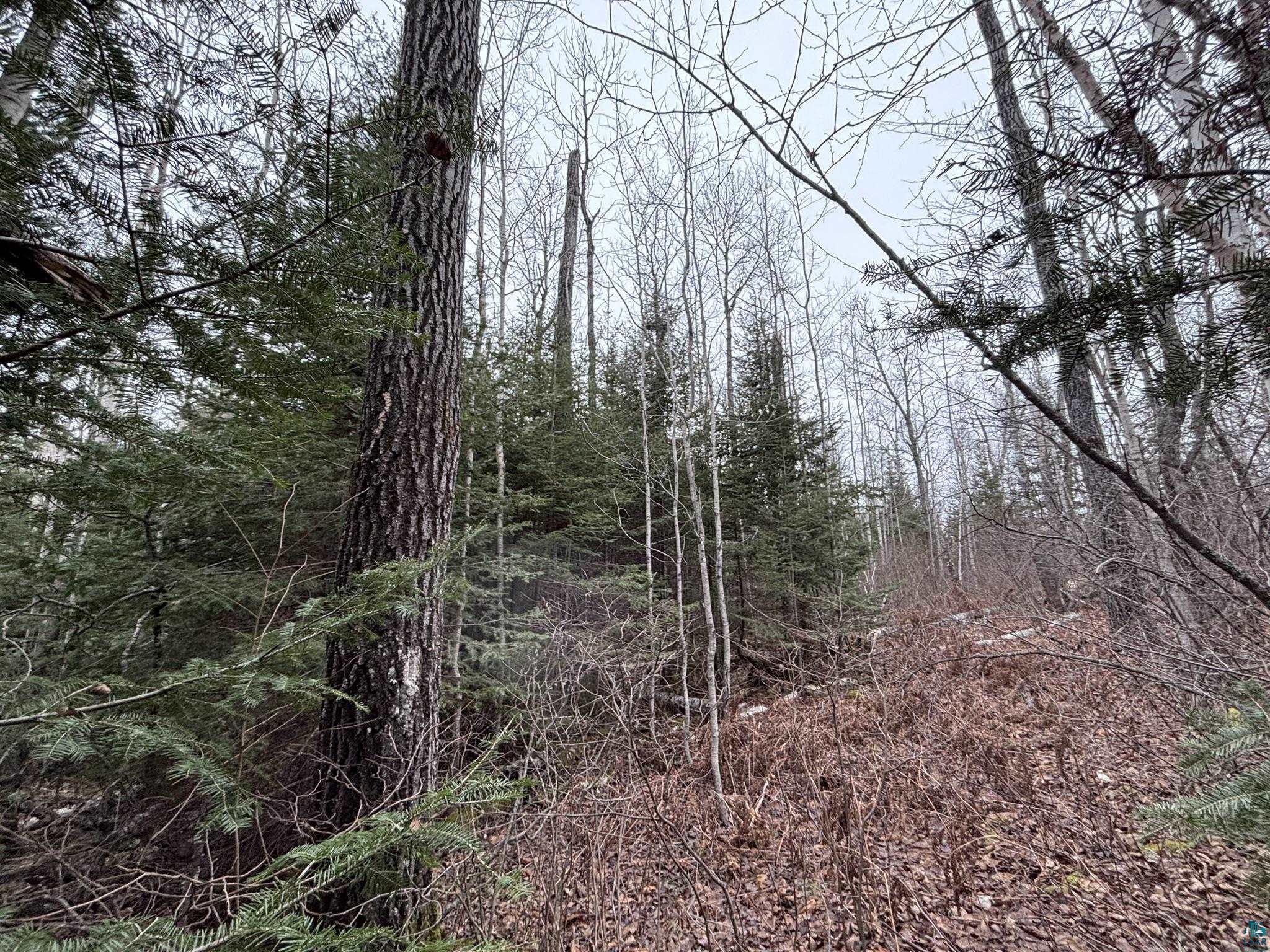 XXD Pine Peak Rd, Lutsen, MN 55612 Listing Photo  3