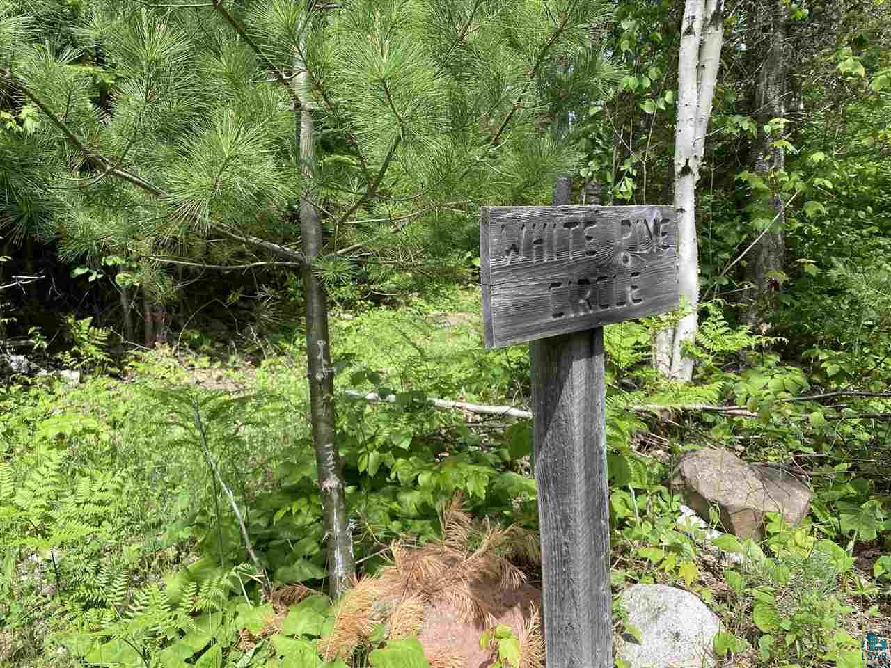 XXD Pine Peak Rd, Lutsen, MN 55612 Listing Photo  25