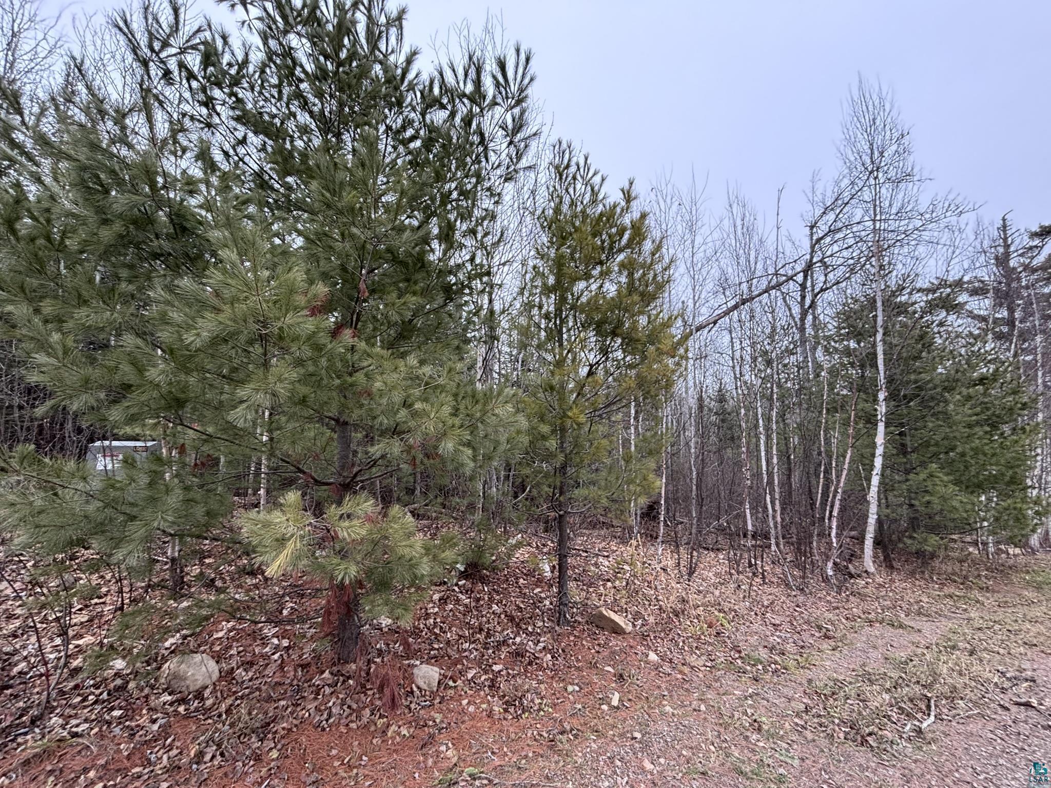 XXD Pine Peak Rd, Lutsen, MN 55612 Listing Photo  27