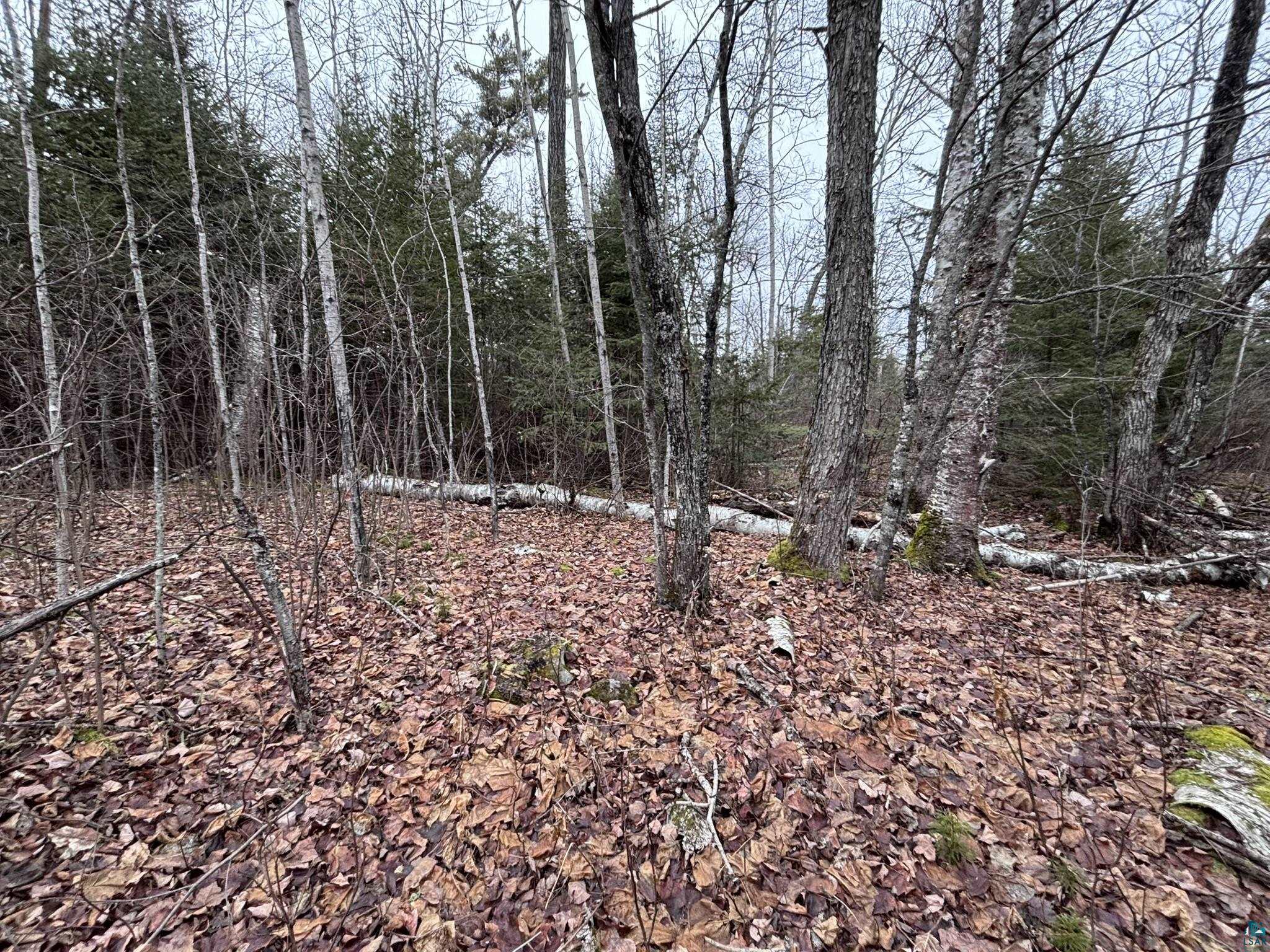 XXD Pine Peak Rd, Lutsen, MN 55612 Listing Photo  28