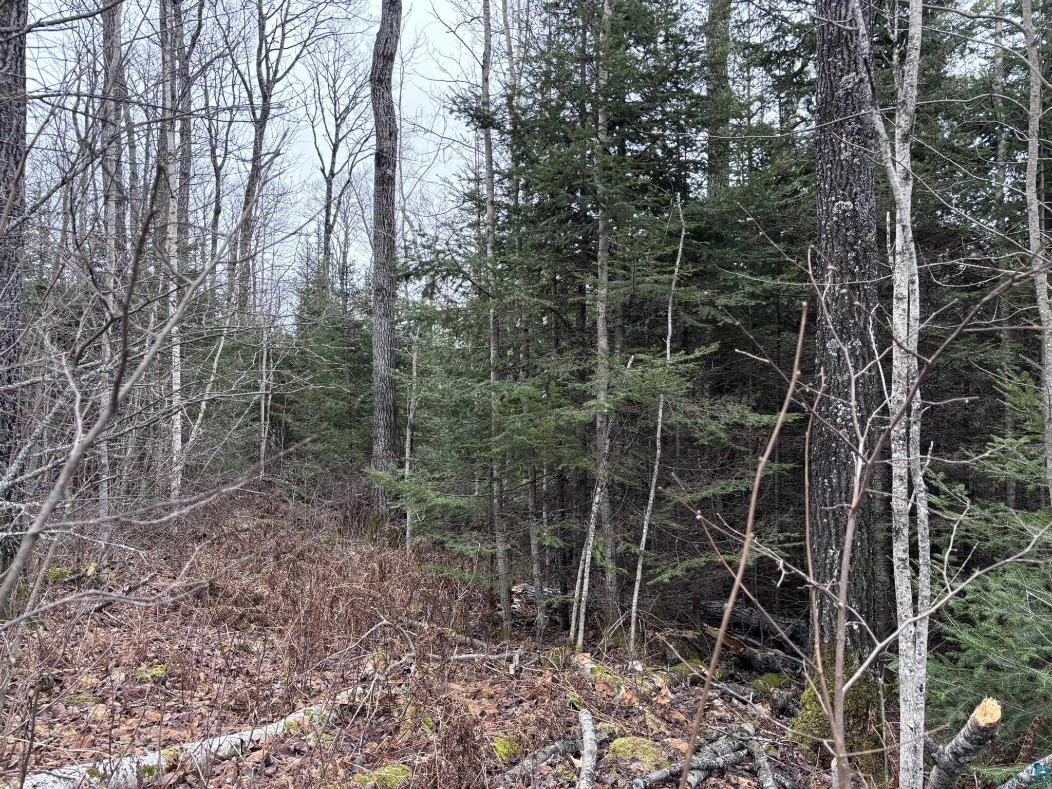 XXD Pine Peak Rd, Lutsen, MN 55612 Listing Photo  4