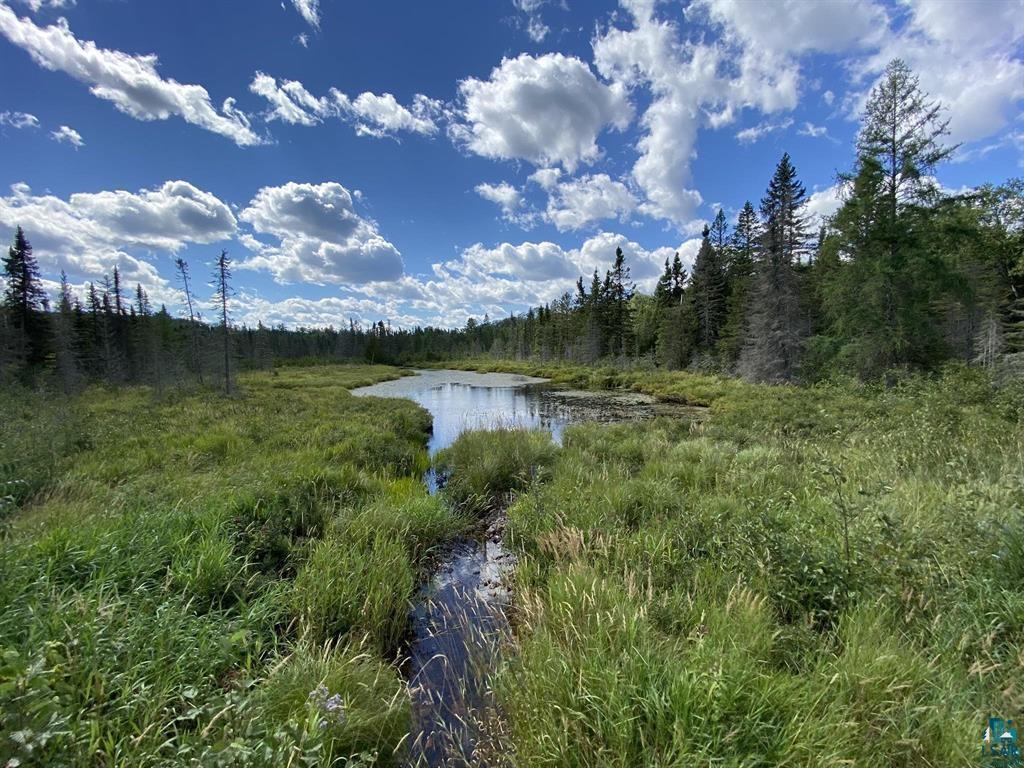 XXD Pine Peak Rd, Lutsen, MN 55612 Listing Photo  31