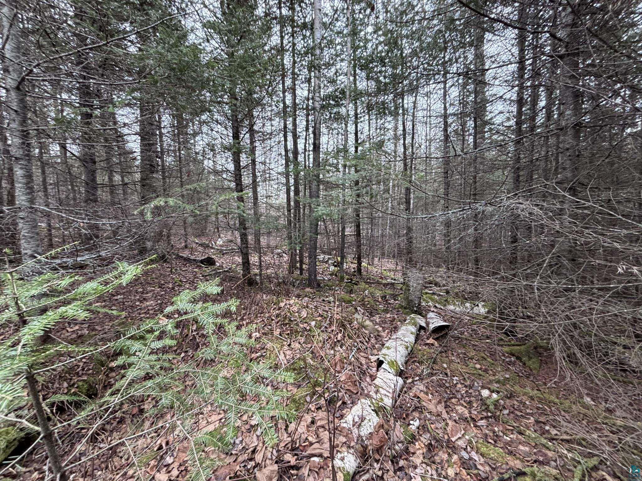 XXD Pine Peak Rd, Lutsen, MN 55612 Listing Photo  32