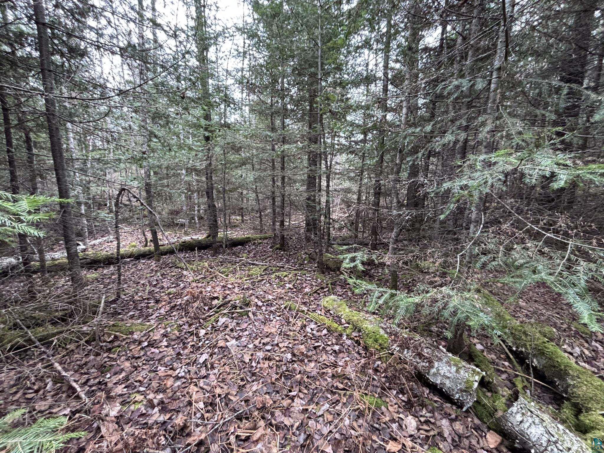 XXD Pine Peak Rd, Lutsen, MN 55612 Listing Photo  33