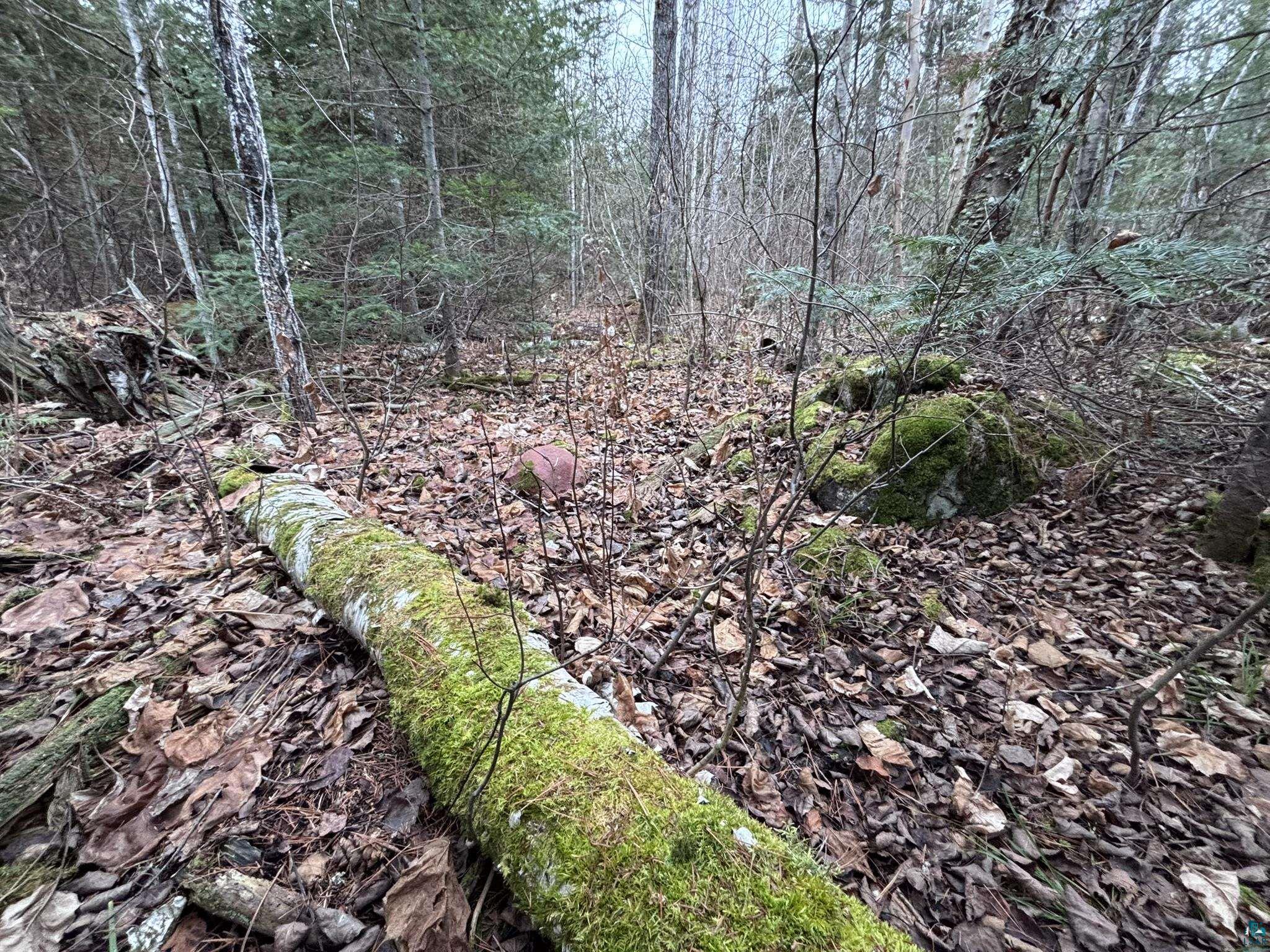 XXD Pine Peak Rd, Lutsen, MN 55612 Listing Photo  34