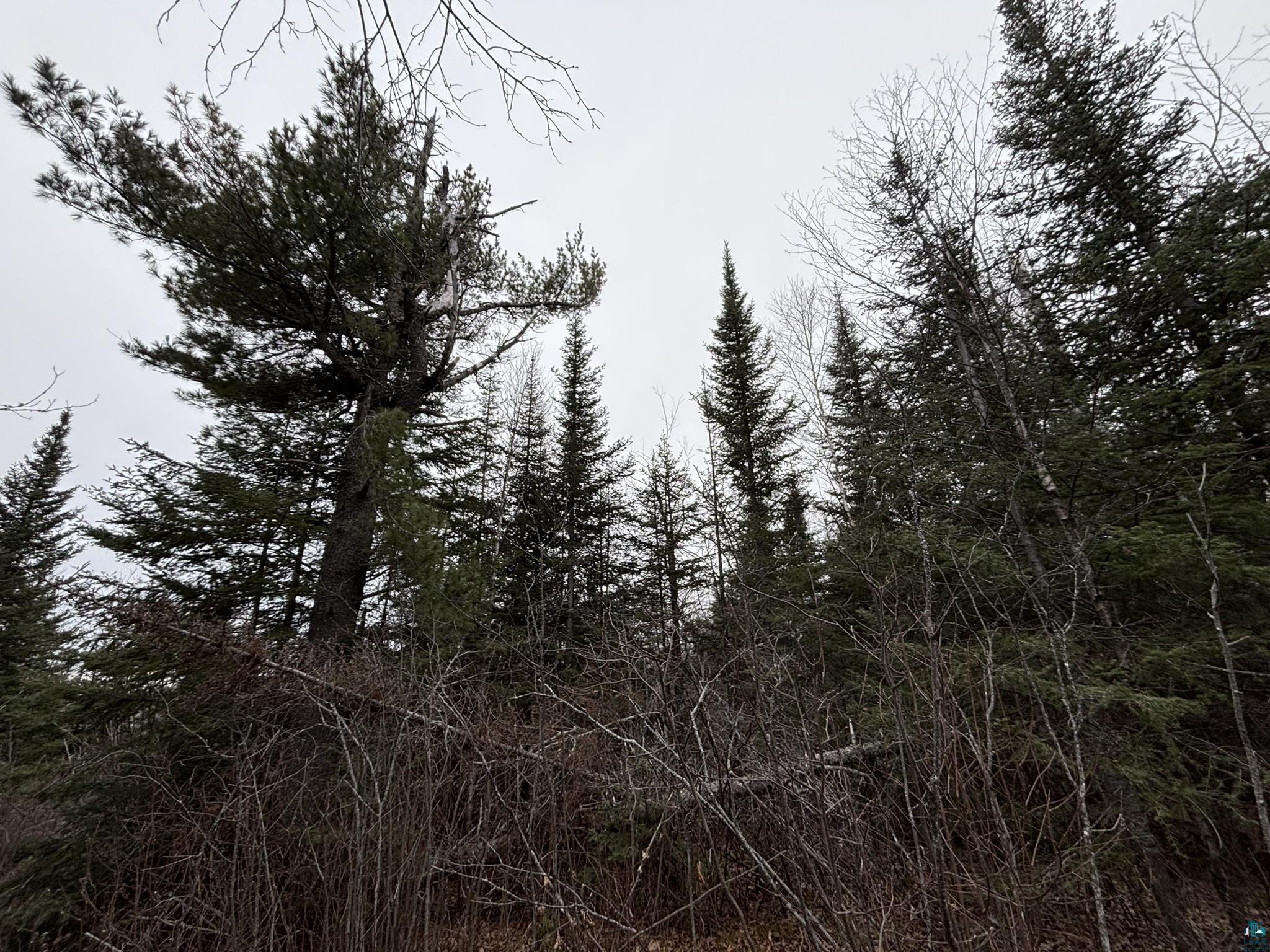 XXD Pine Peak Rd, Lutsen, MN 55612 Listing Photo  35