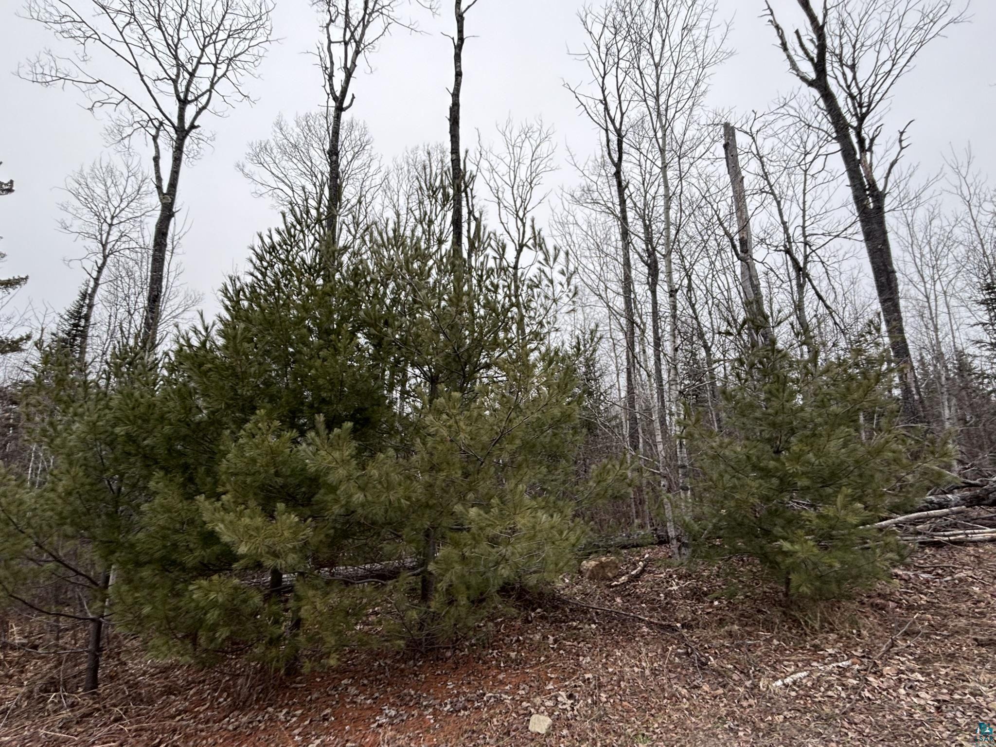 XXD Pine Peak Rd, Lutsen, MN 55612 Listing Photo  37
