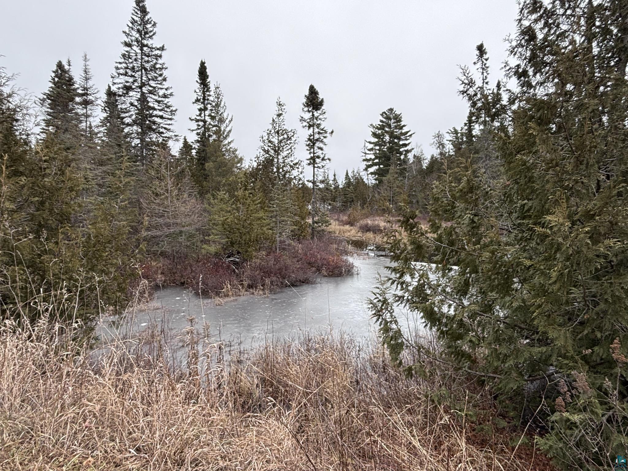 XXD Pine Peak Rd, Lutsen, MN 55612 Listing Photo  38