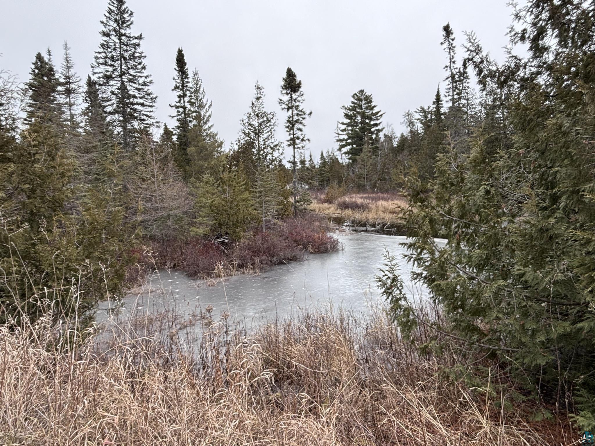 XXD Pine Peak Rd, Lutsen, MN 55612 Listing Photo  39
