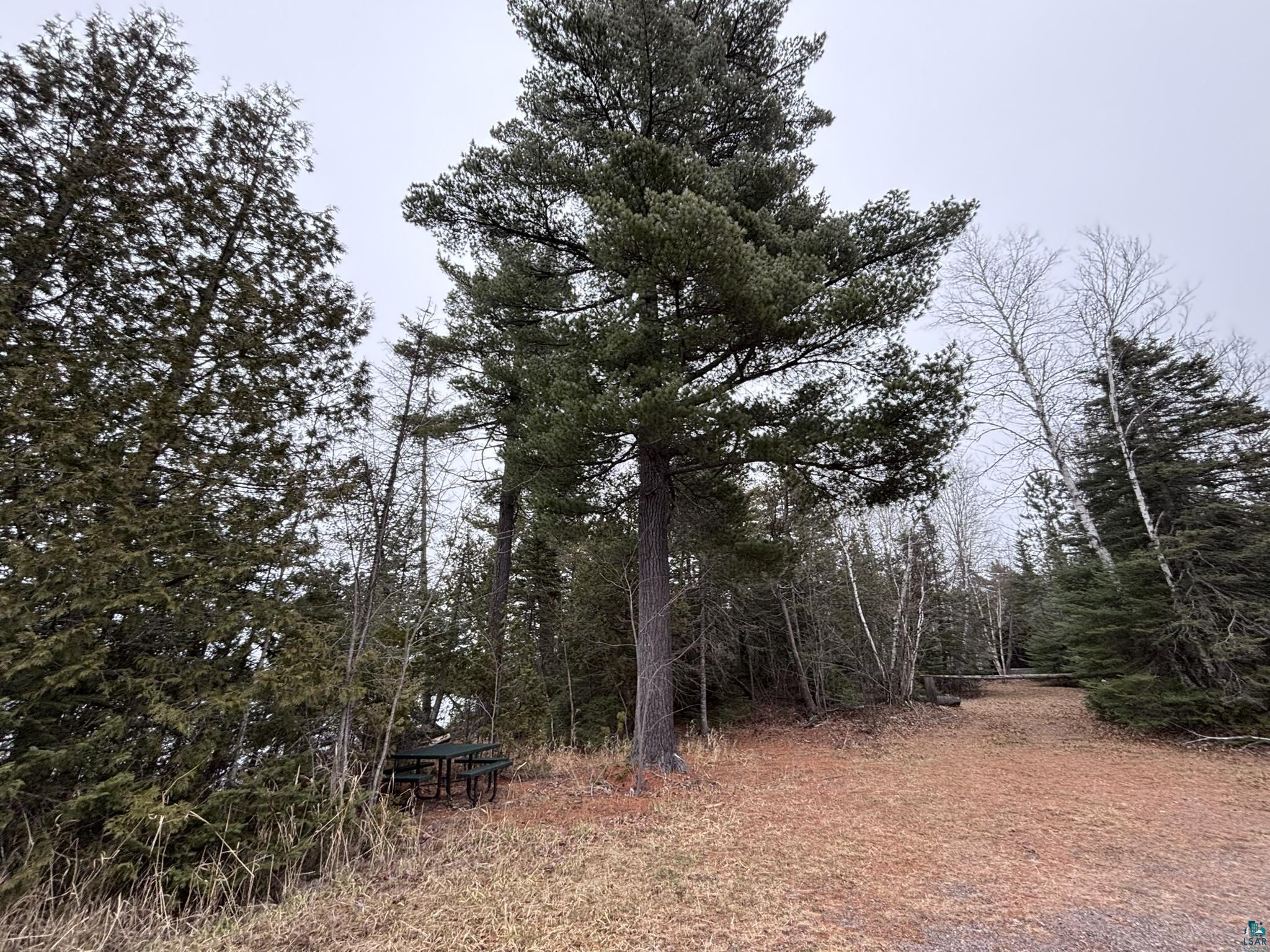 XXD Pine Peak Rd, Lutsen, MN 55612 Listing Photo  48