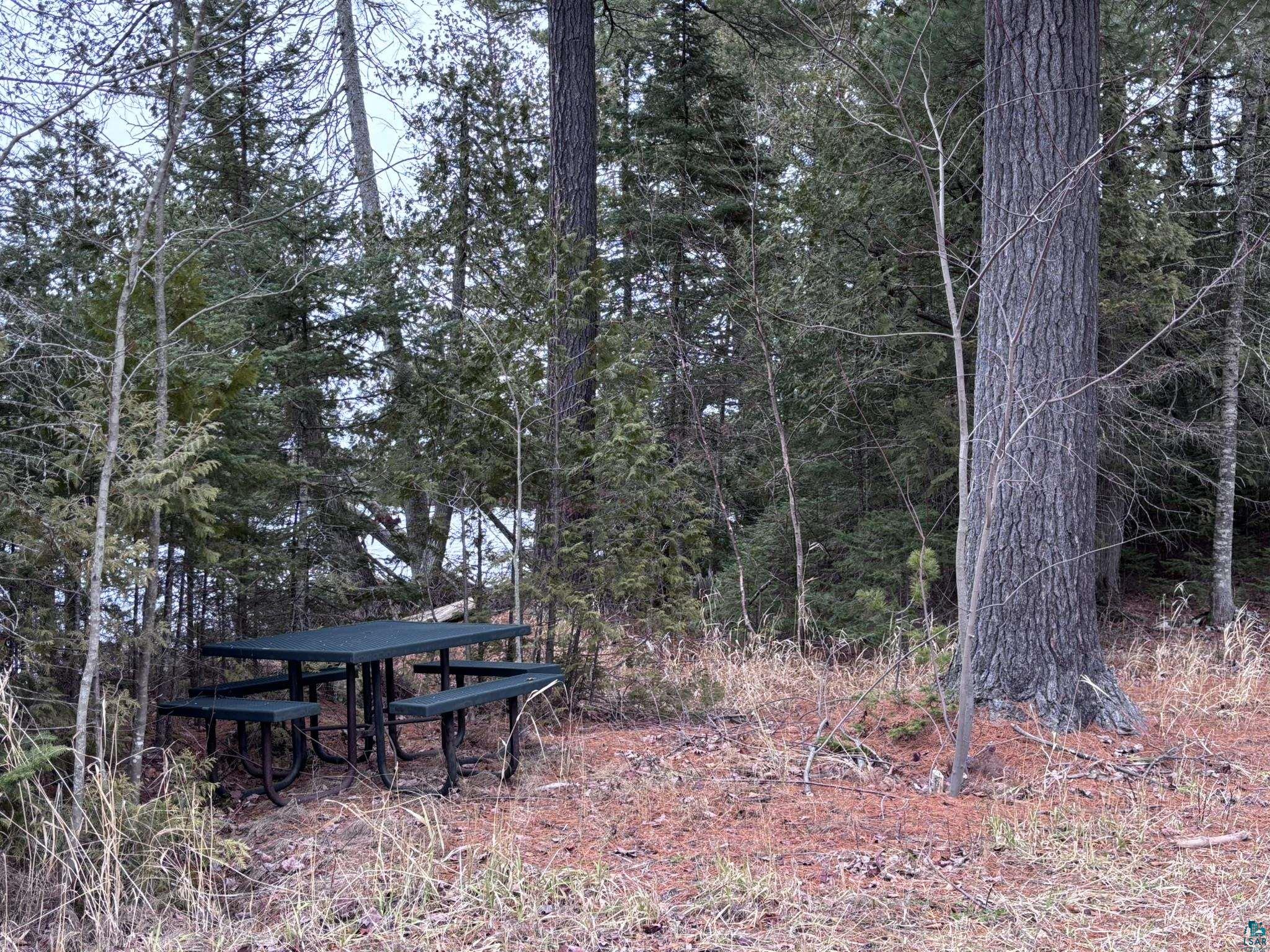 XXD Pine Peak Rd, Lutsen, MN 55612 Listing Photo  49