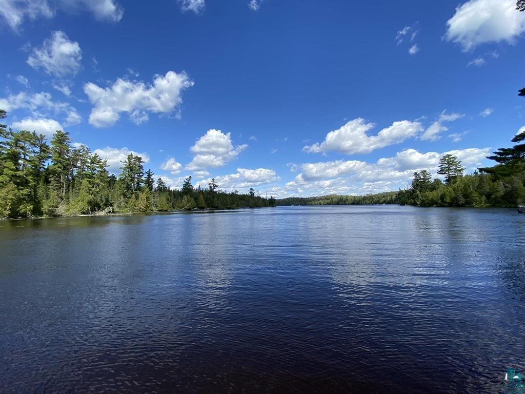 XXD Pine Peak Rd, Lutsen, MN 55612 Listing Photo  8