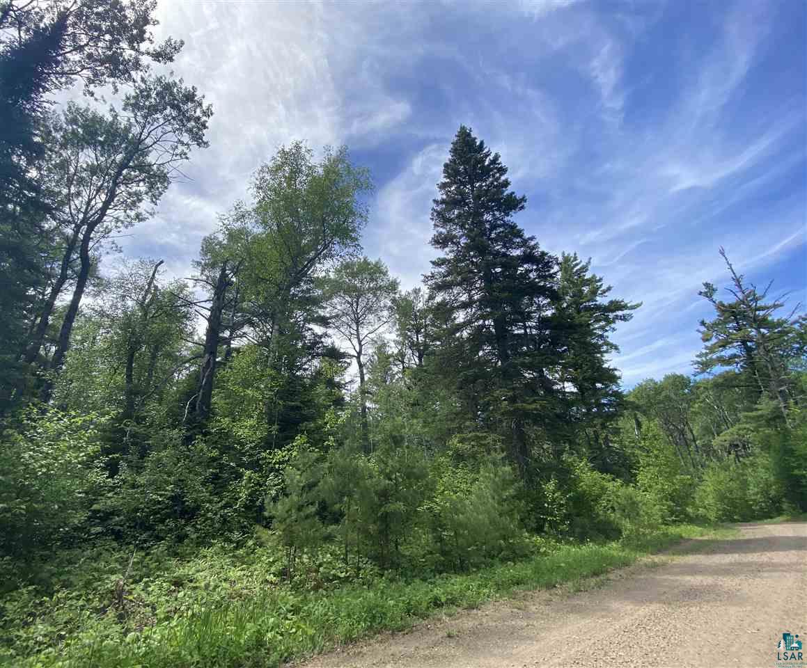 XXD Pine Peak Rd, Lutsen, MN 55612 Listing Photo  9