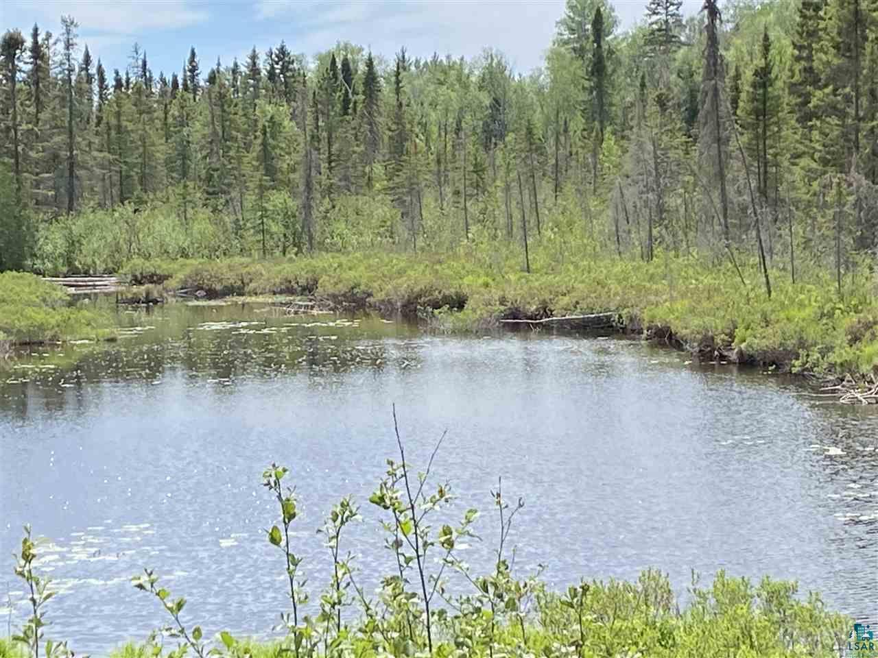 XXD Pine Peak Rd, Lutsen, MN 55612 Listing Photo  10