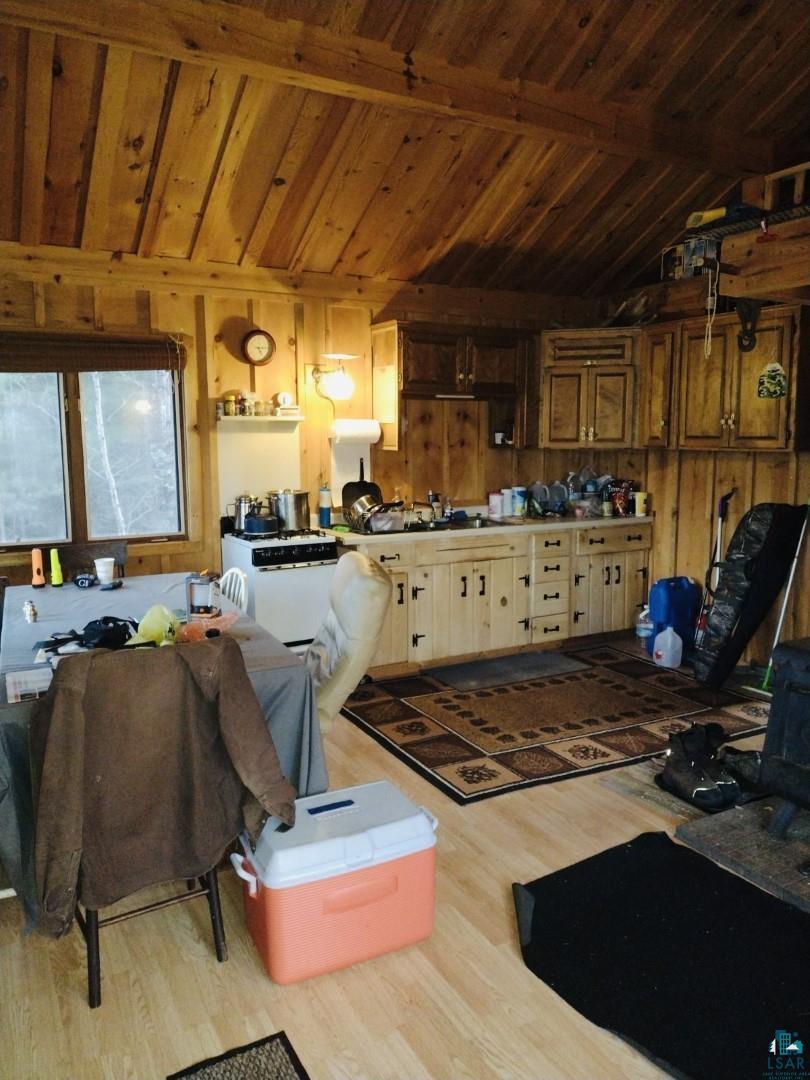 TBD Echo Tr, Orr, MN 55771 Listing Photo  12